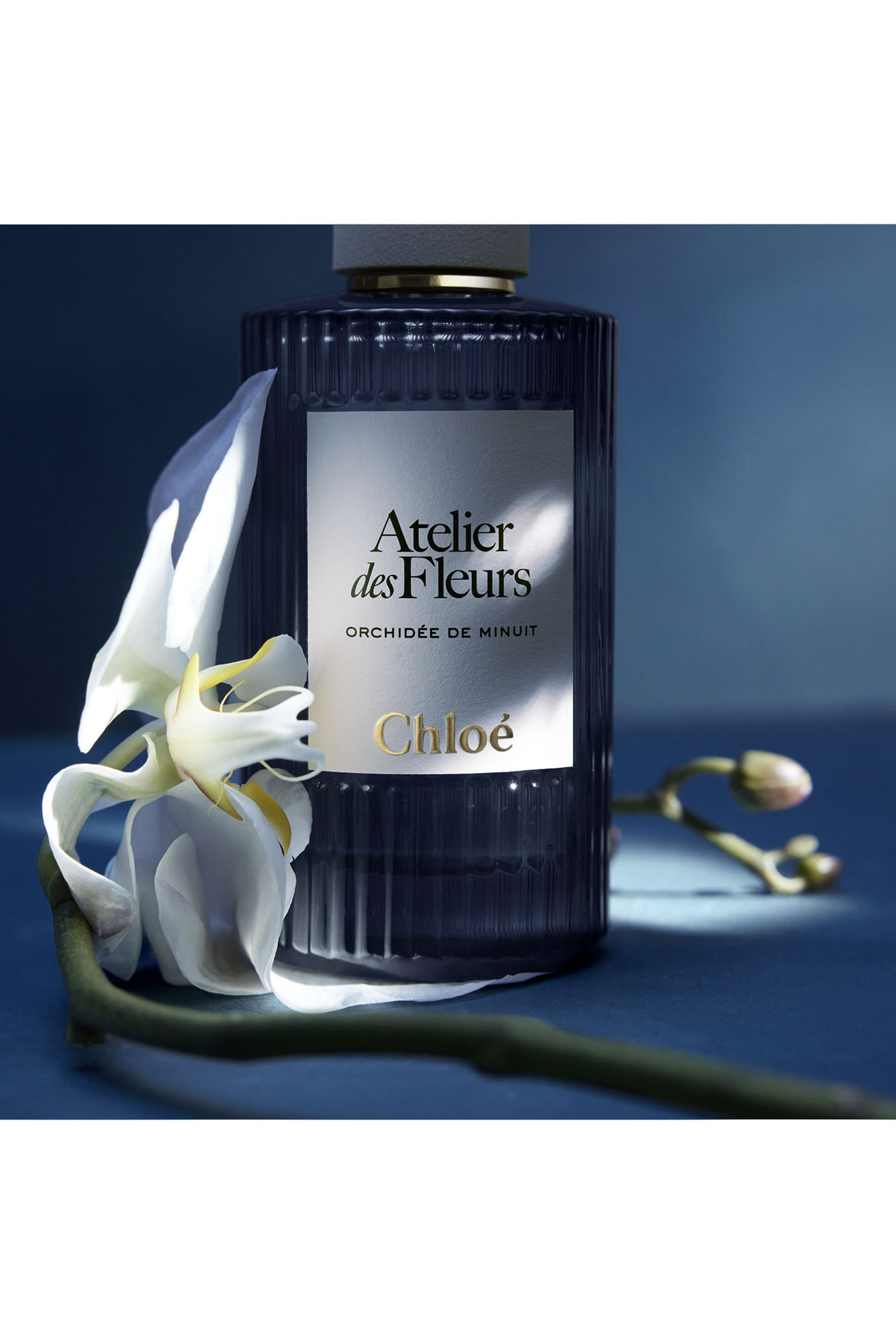 Atelier des Fleurs Orchidée de Minuit Eau de Parfum