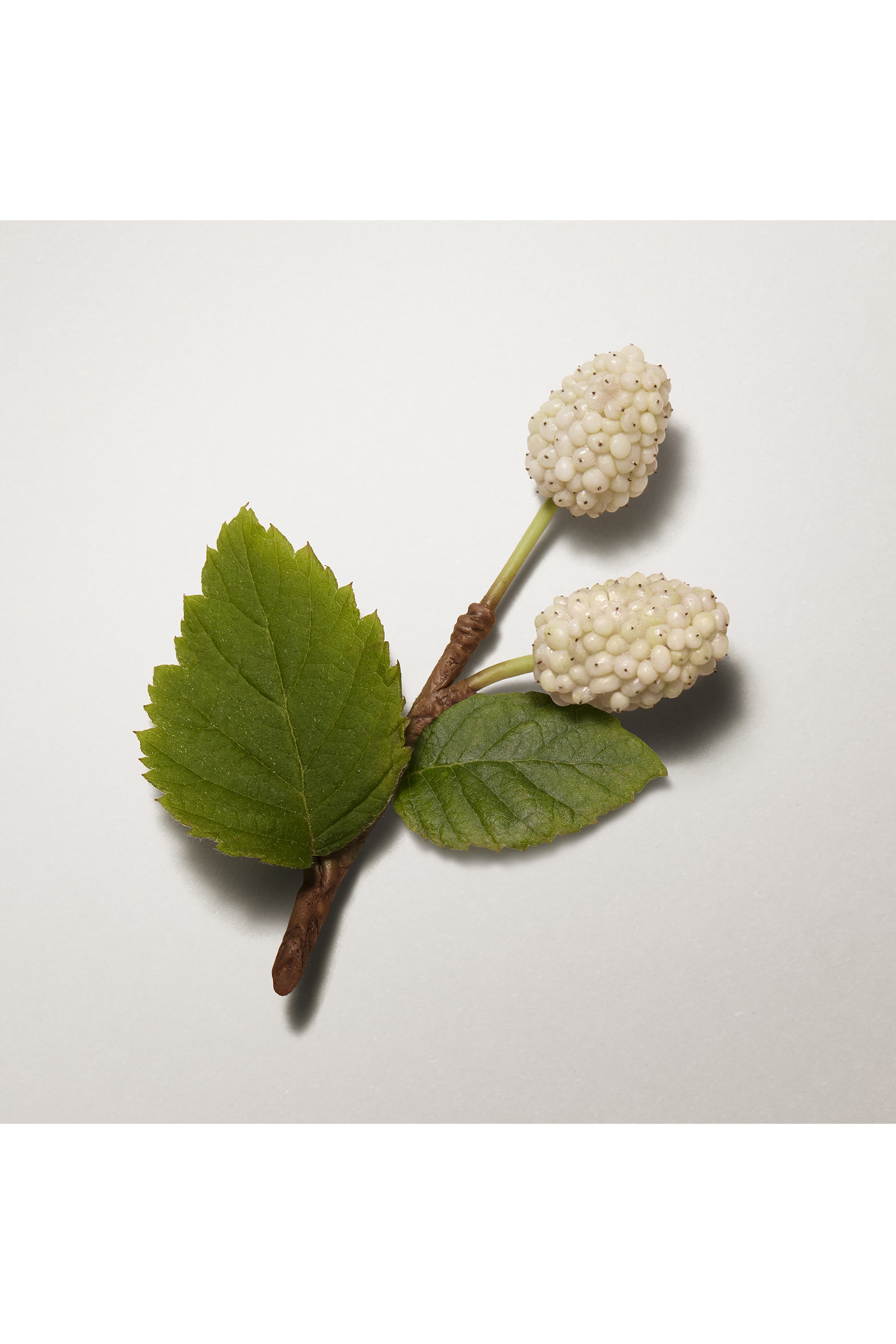 Les Mains Hermès Hand Cream