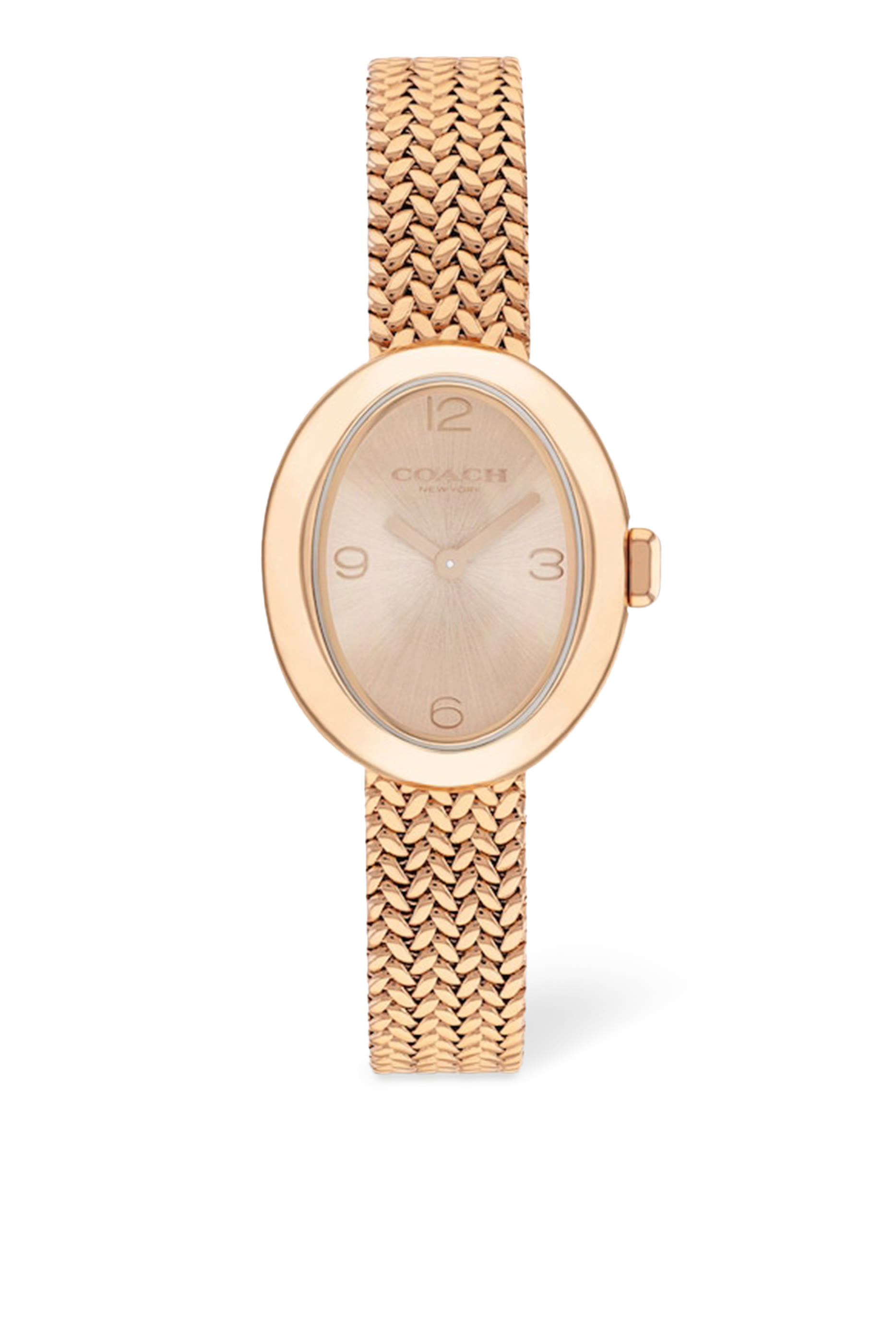 Sammy Stainless Steel Mesh Bracelet Watch