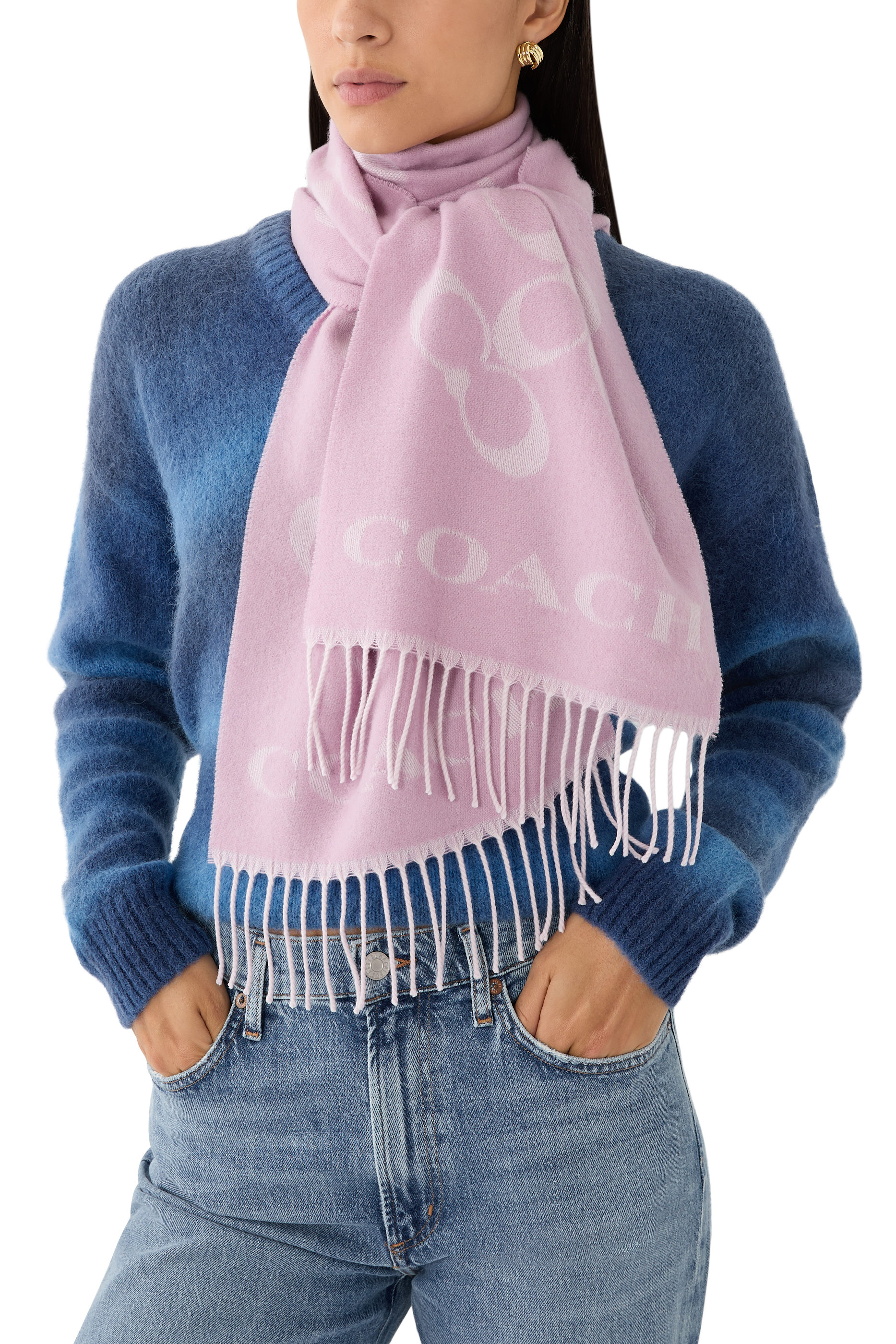 Bias Signature C Muffler