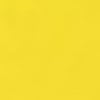 540 - Zesty Yellow