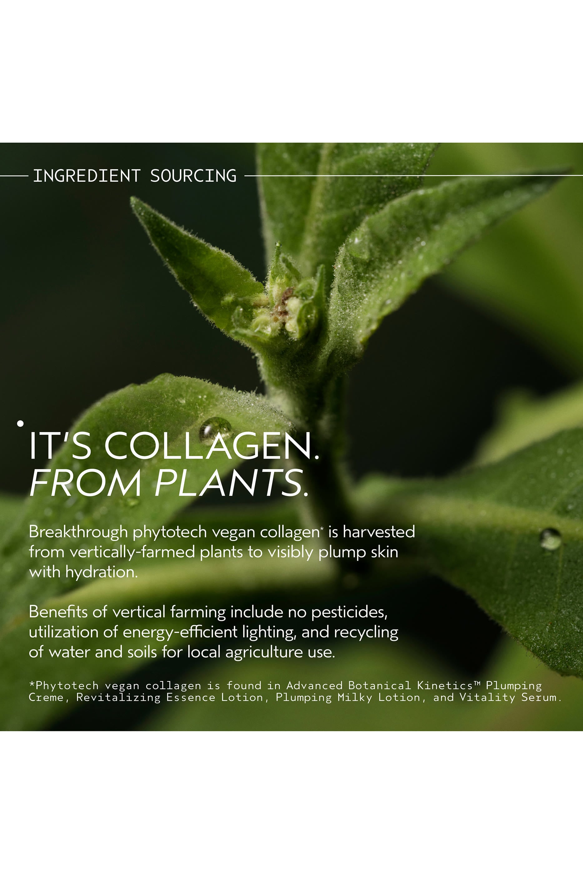 Advanced Botanical Kinetics&trade; Plumping Creme Refill