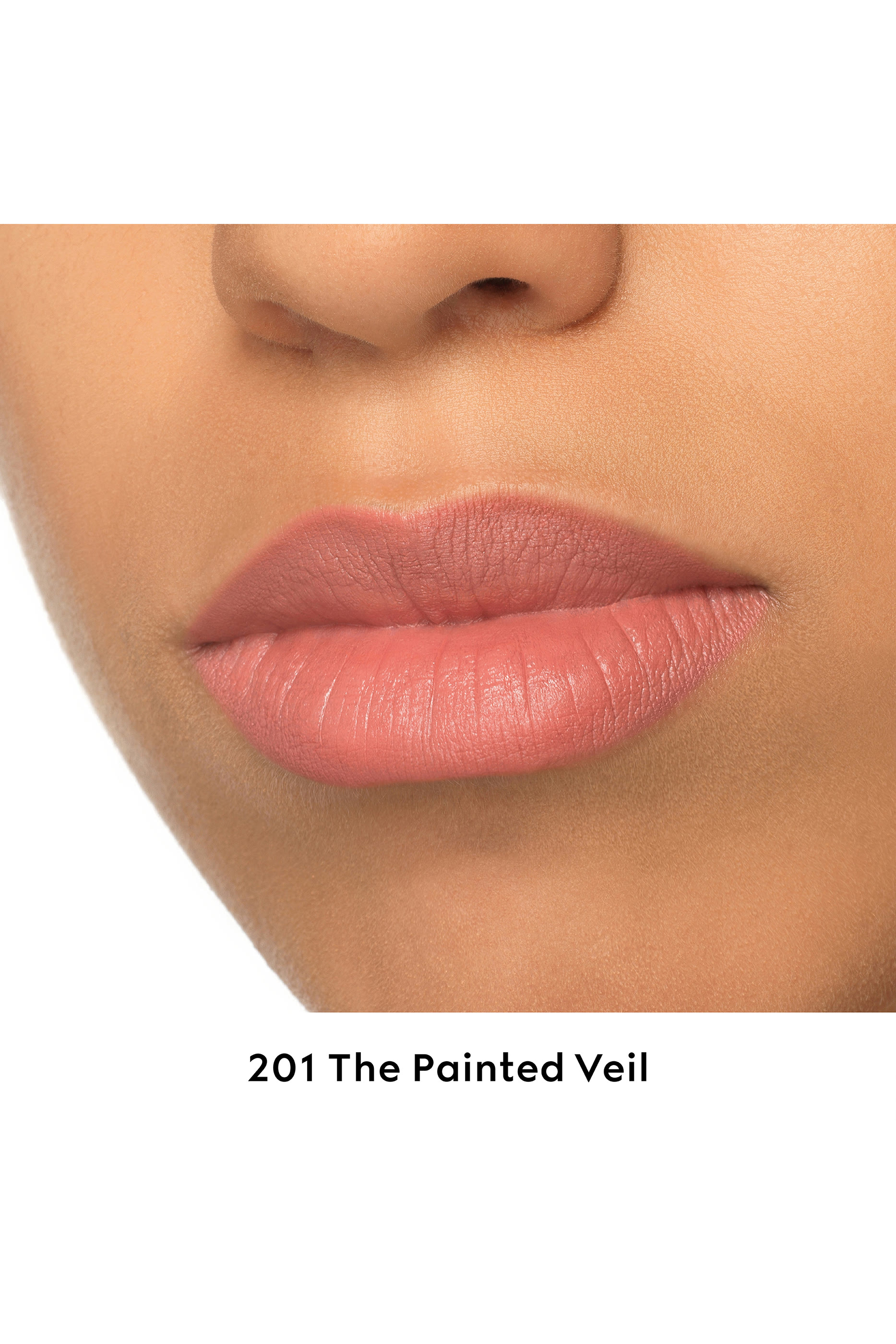 Rouge &agrave; L&egrave;vres Mat Lipstick