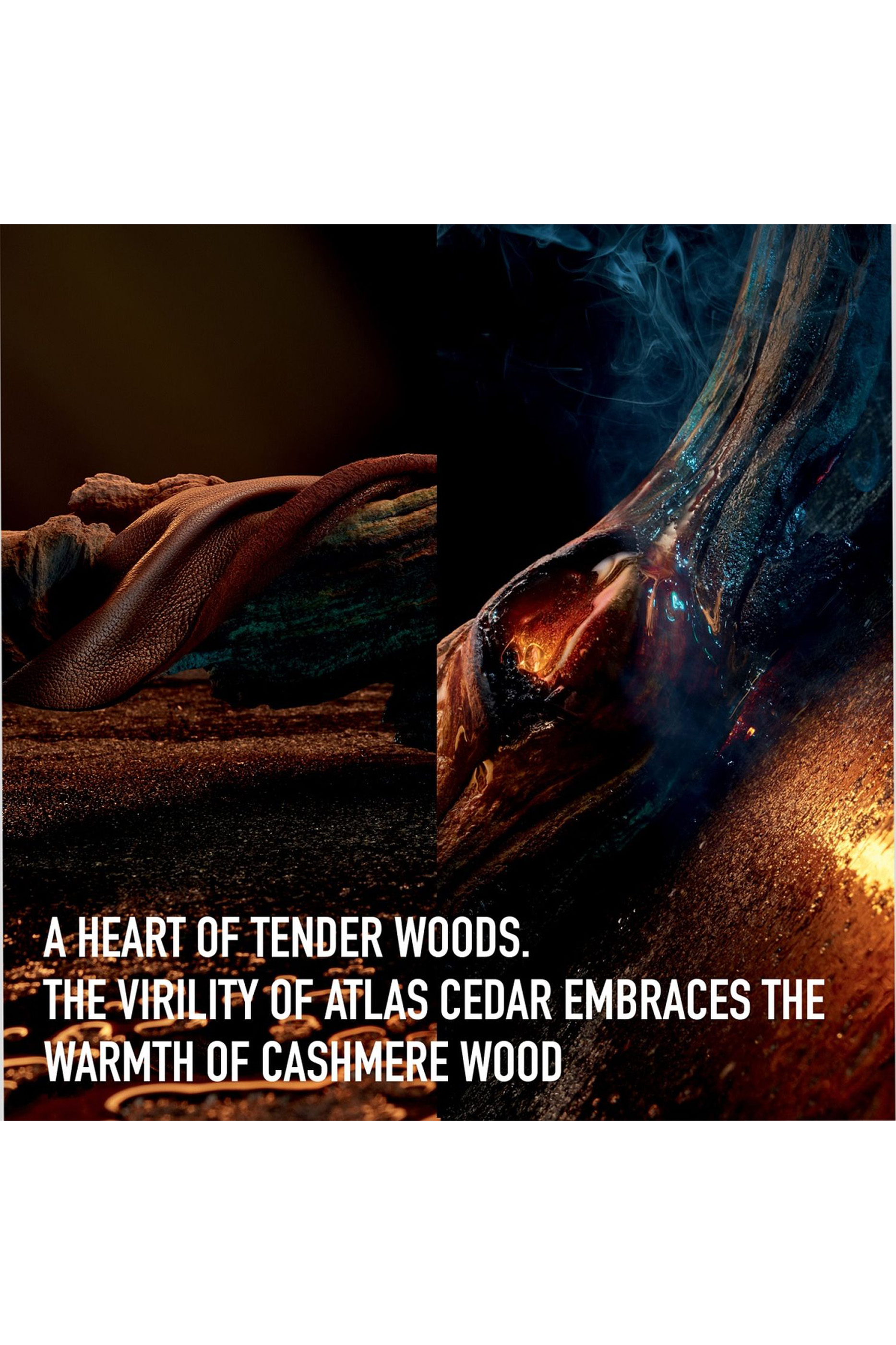 Dior Homme Eau de Toilette