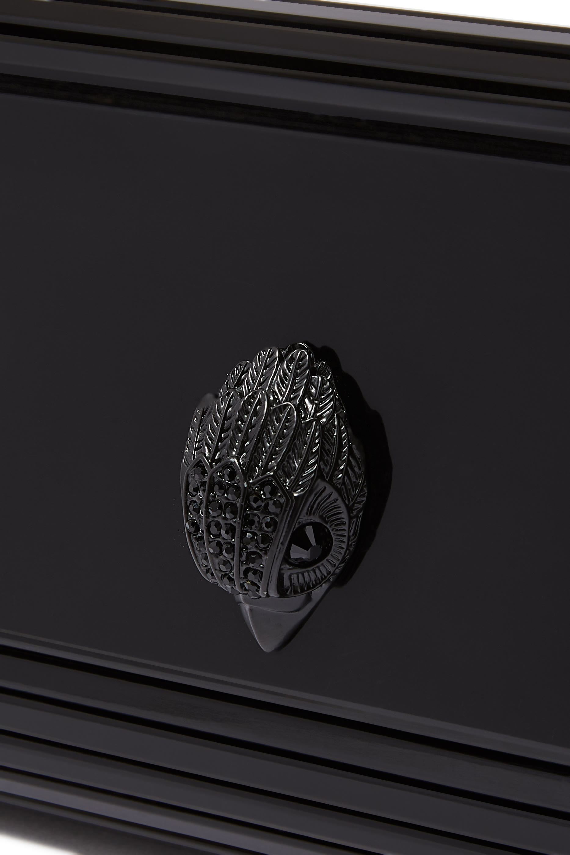 Party Eagle Plexi Envelope Clutch