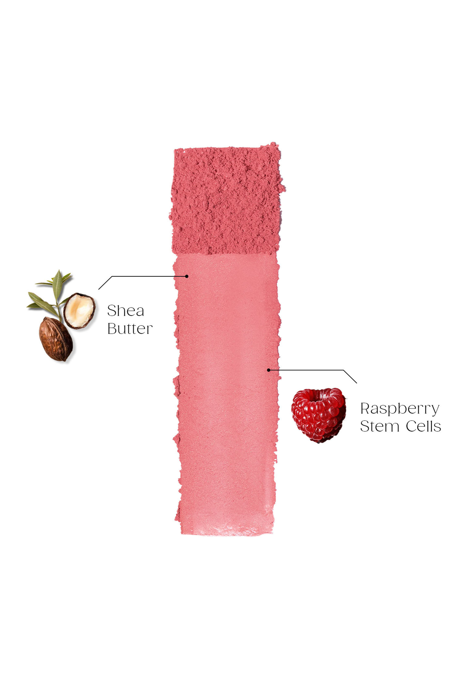 Cashmere Touch Silky Blurring Blush Powder