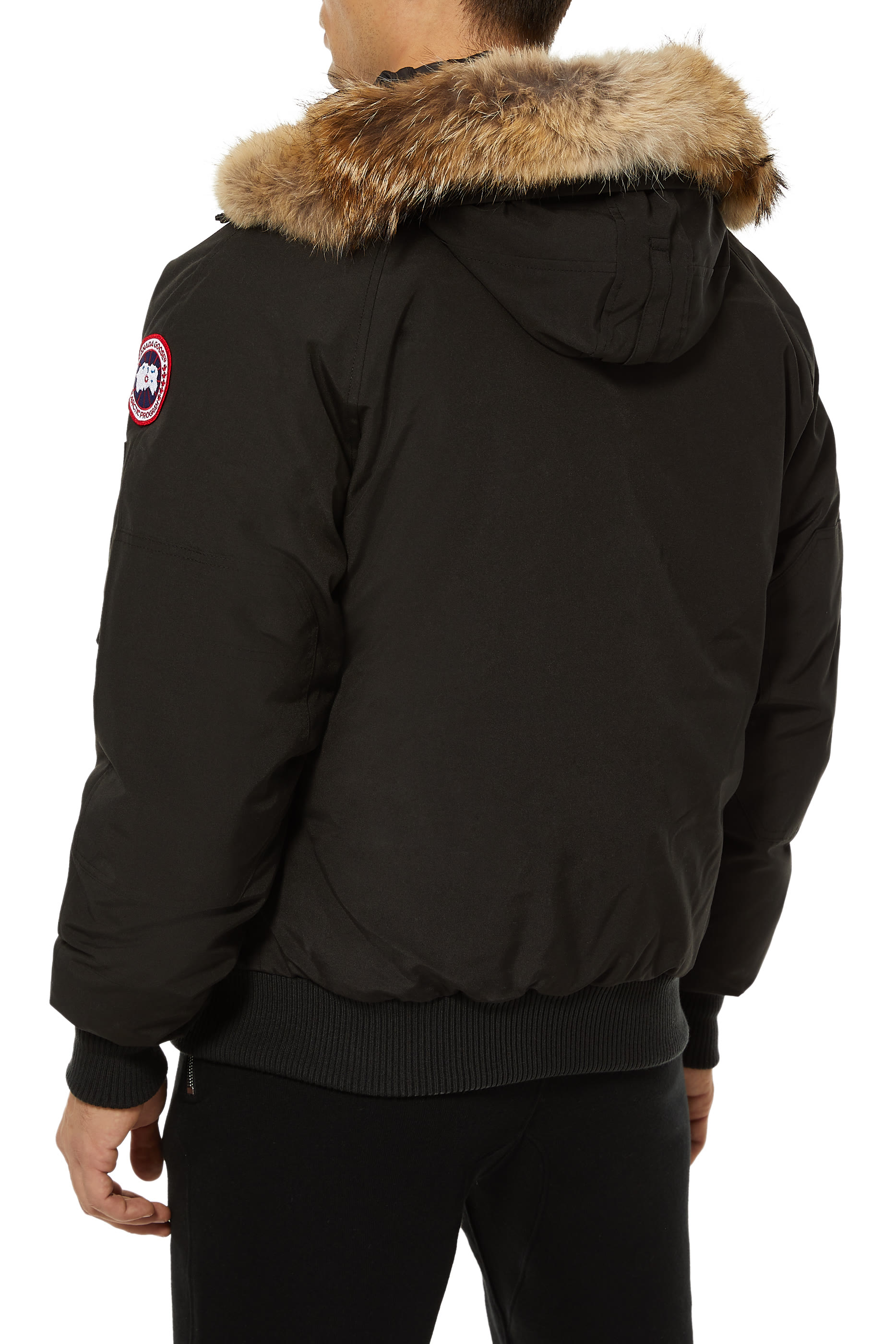 Chilliwack Down Bomber