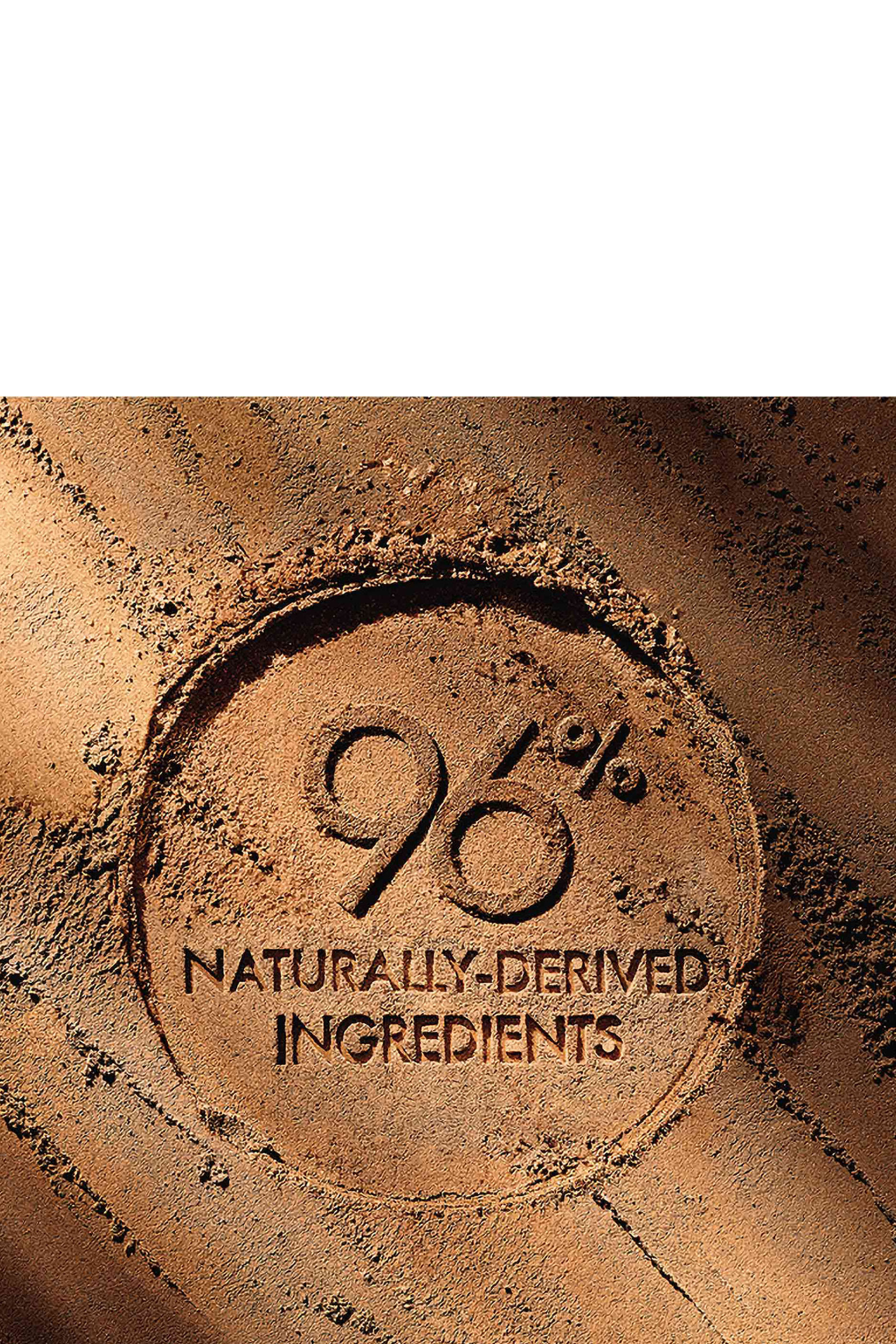 Terracota The Bronzing Powder