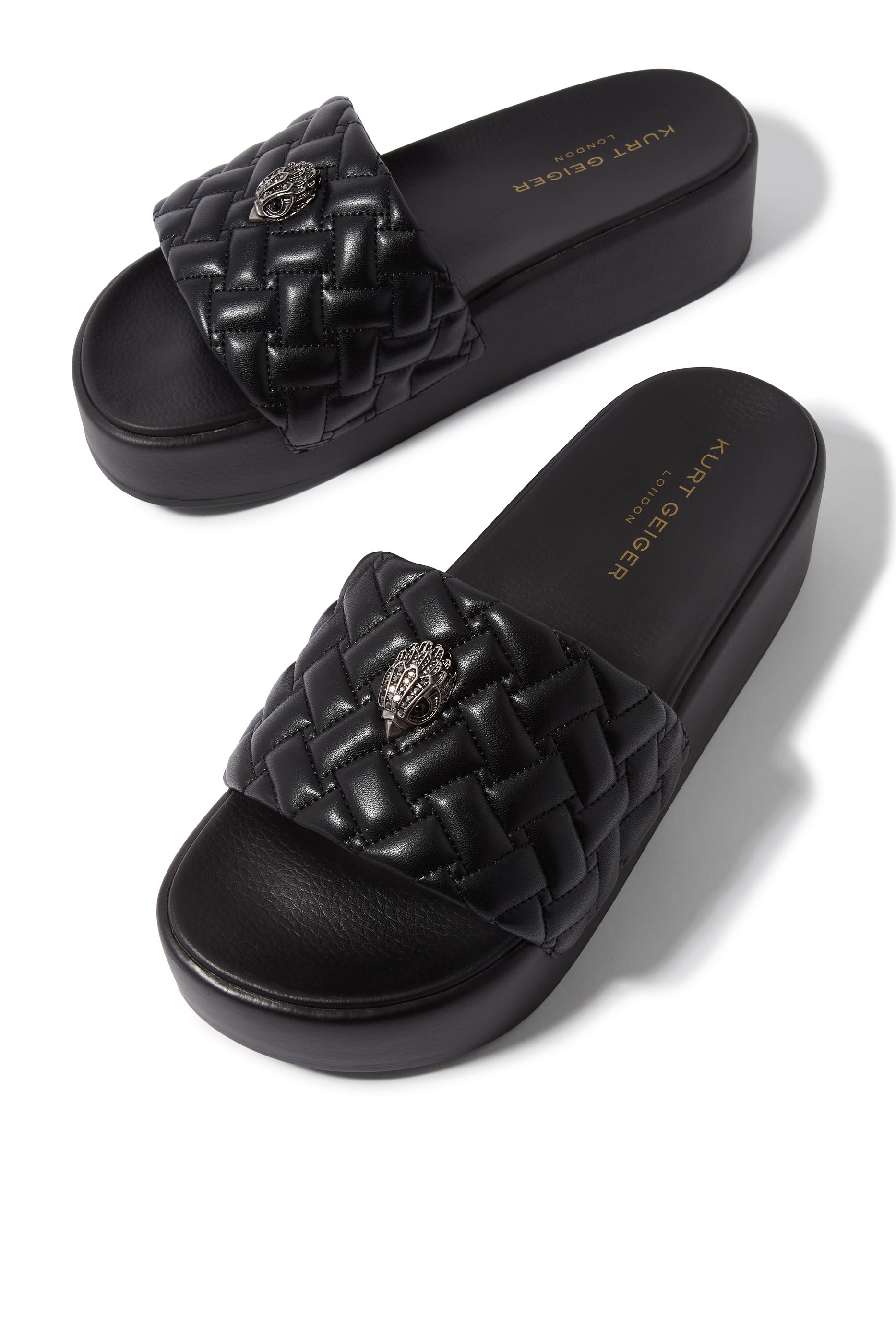 Meena Eagle Platforms