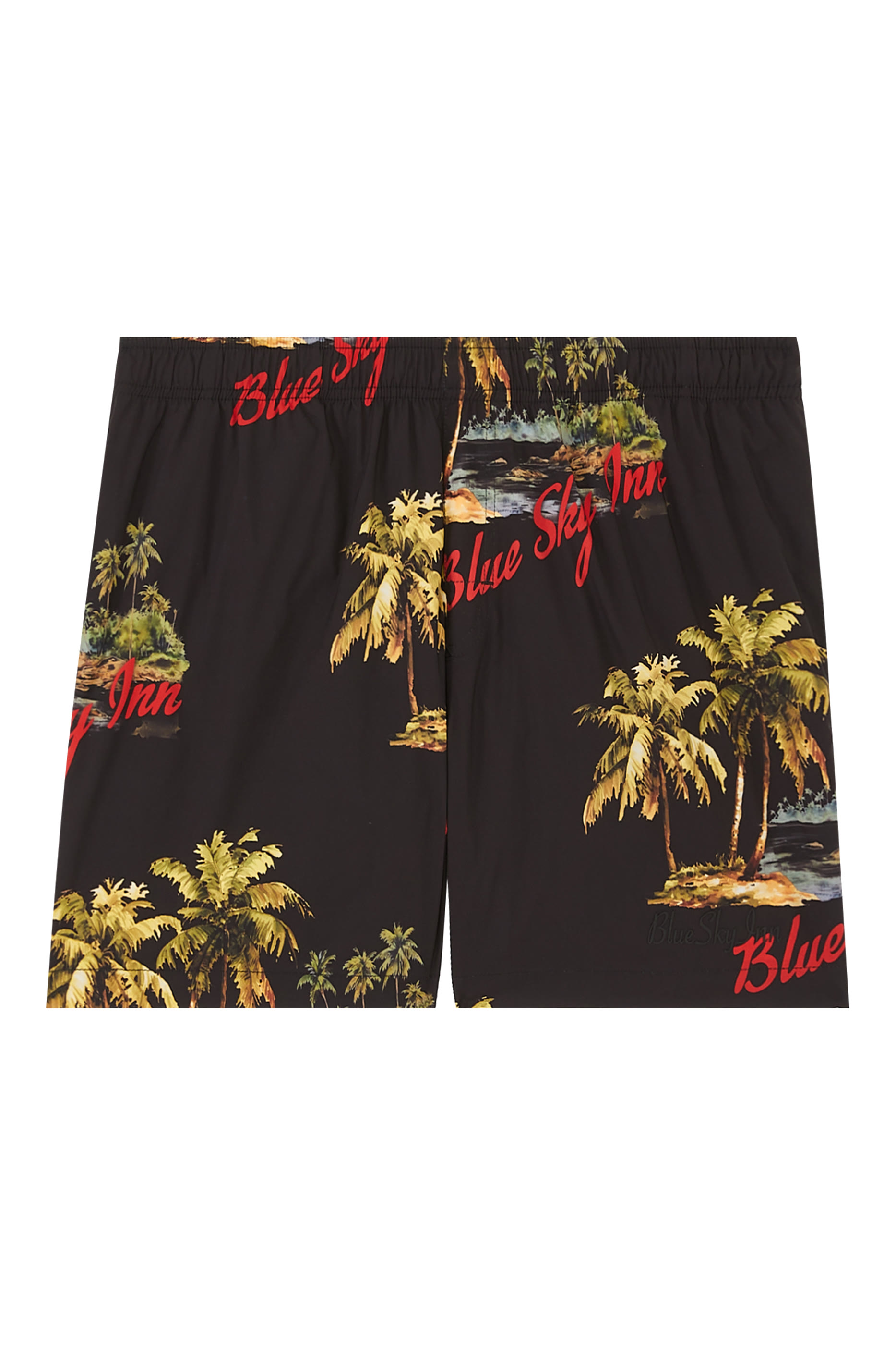 Island Swim Shorts