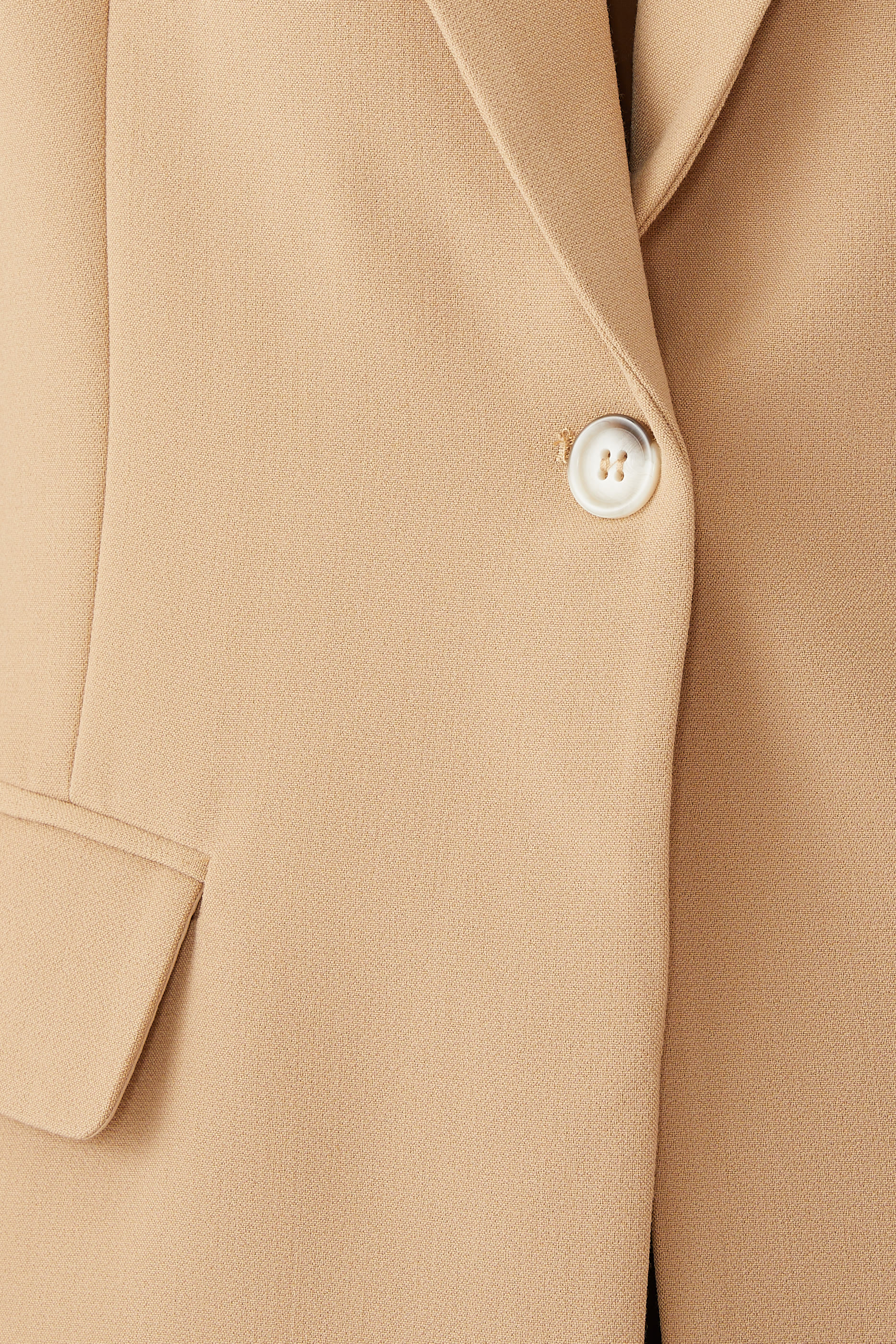 The Ultimate Muse Blazer