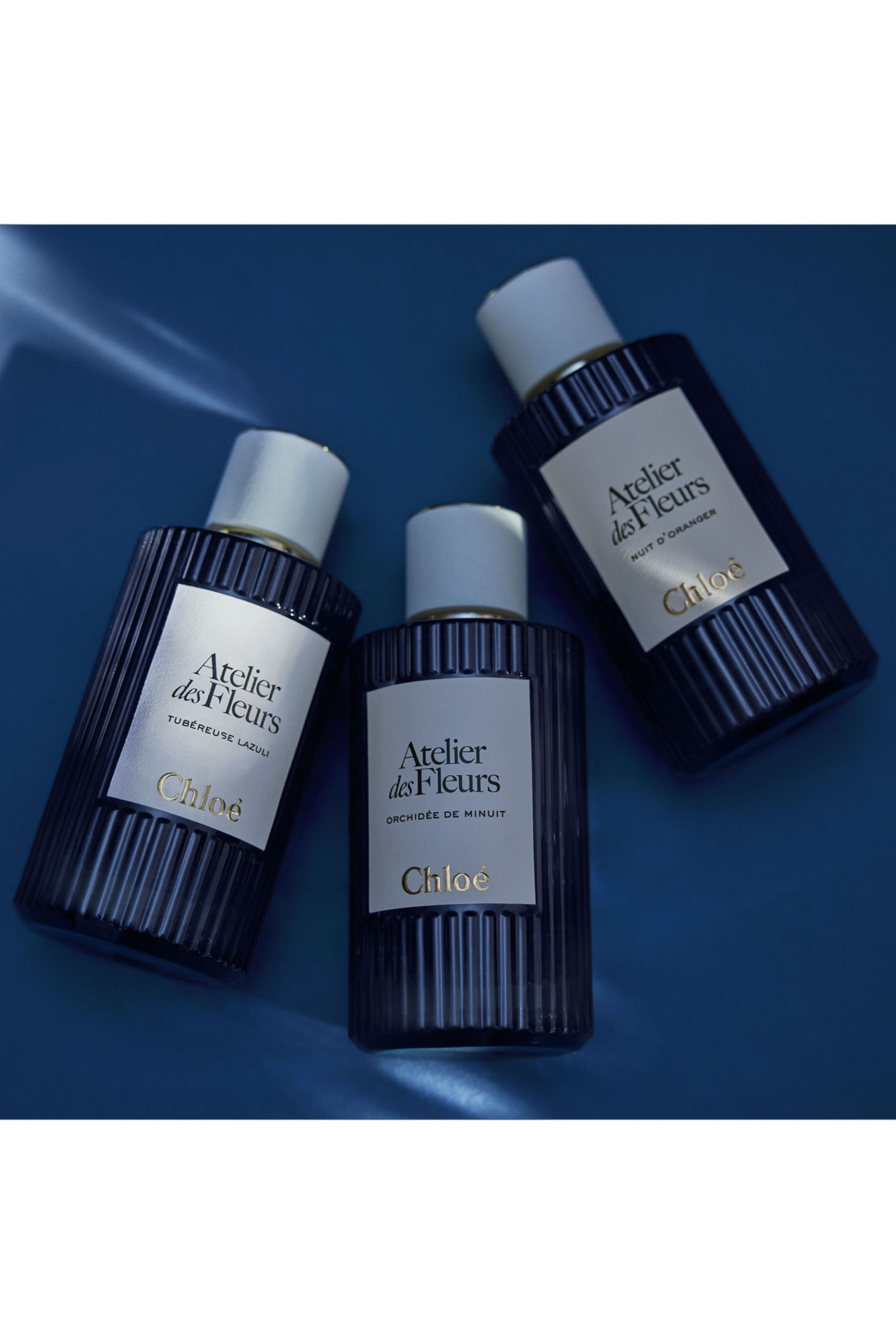 Atelier Des Fleurs Nuit D’oranger