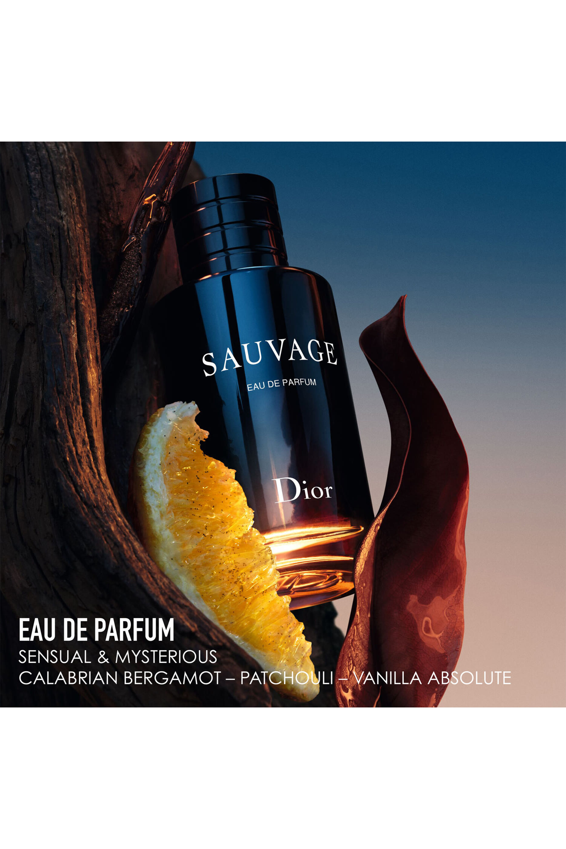 Sauvage Eau de Parfum Gift Set