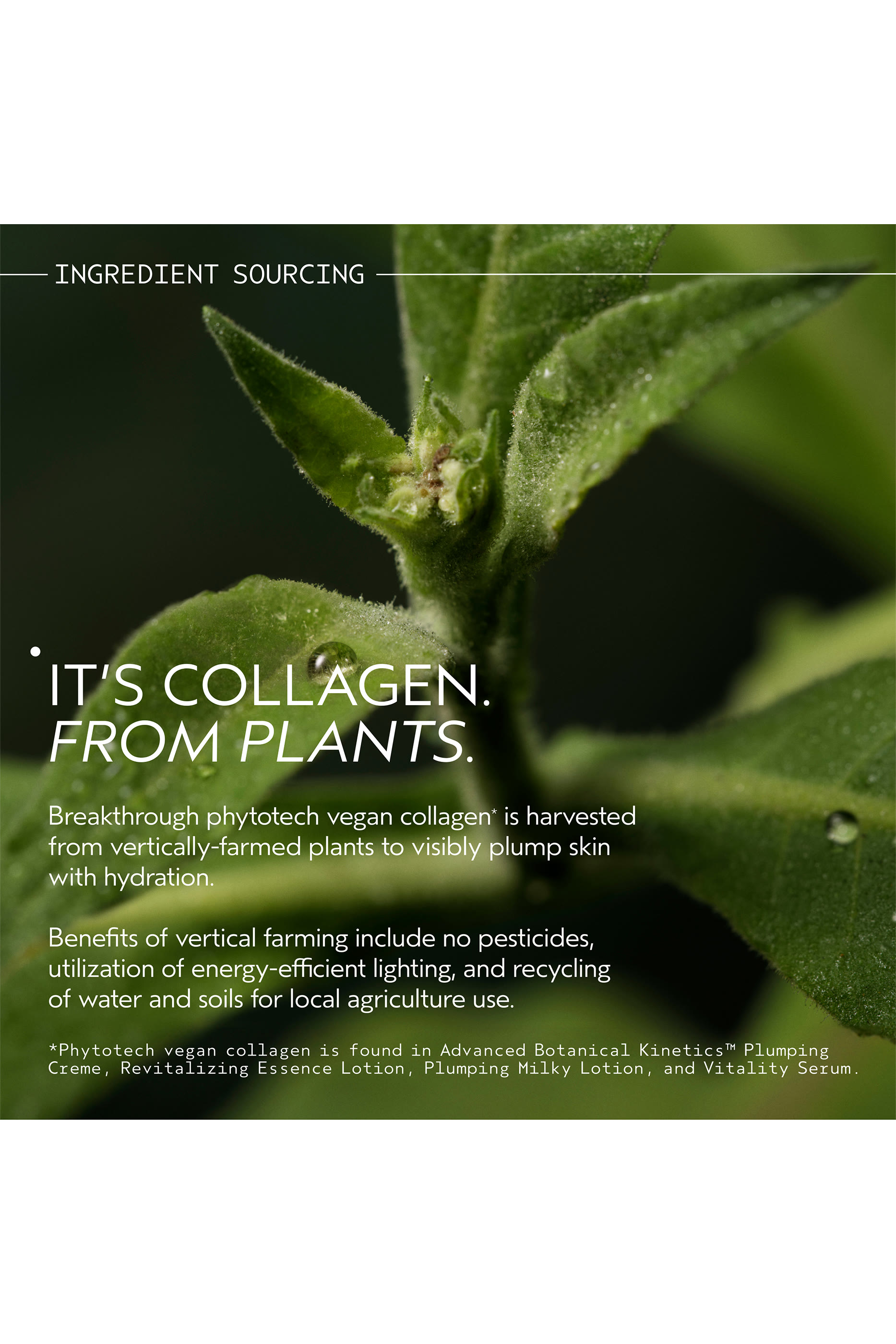 Advanced Botanical Kinetics&trade; Revitalizing Essence Lotion 