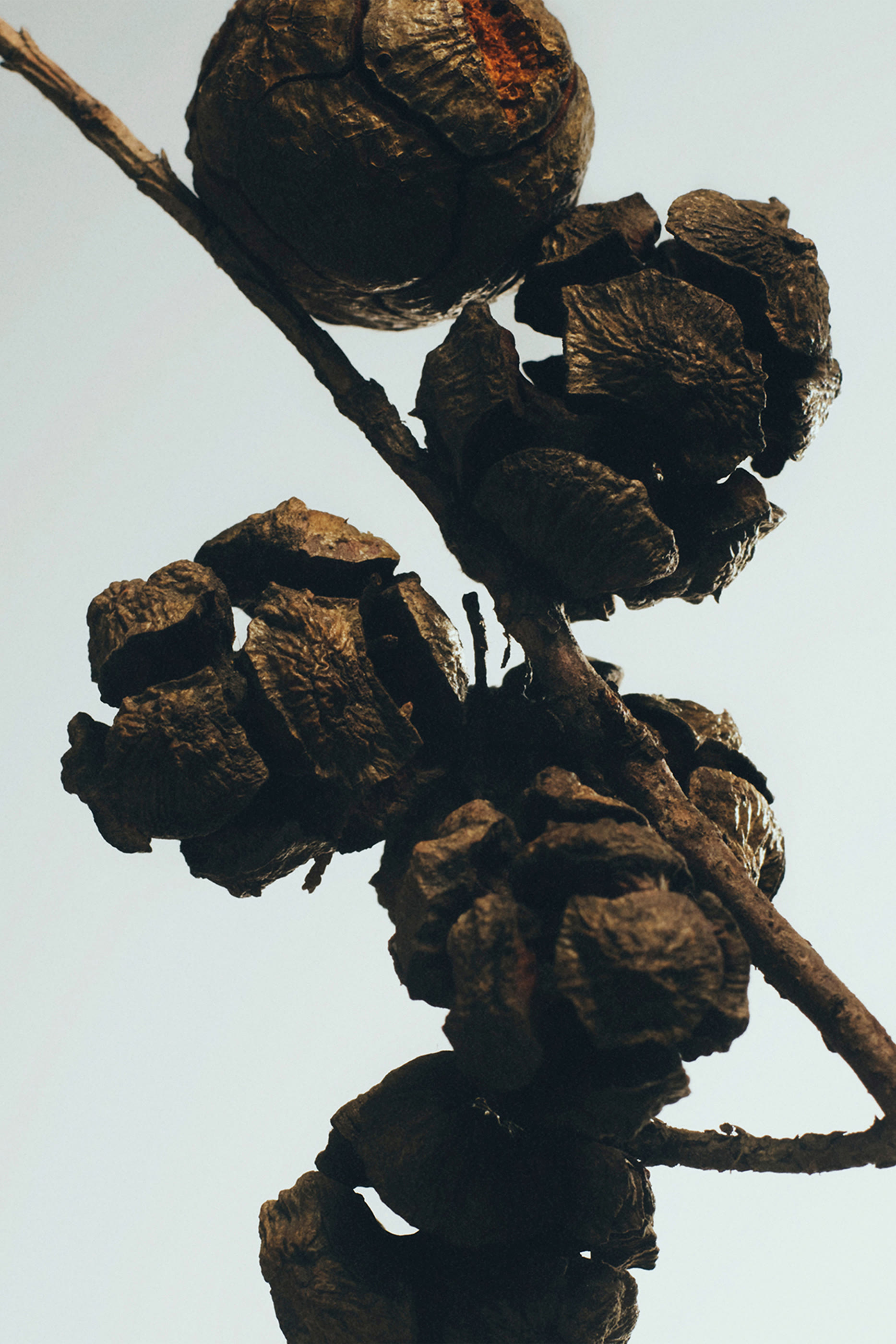 Cypress Balls Room Spray