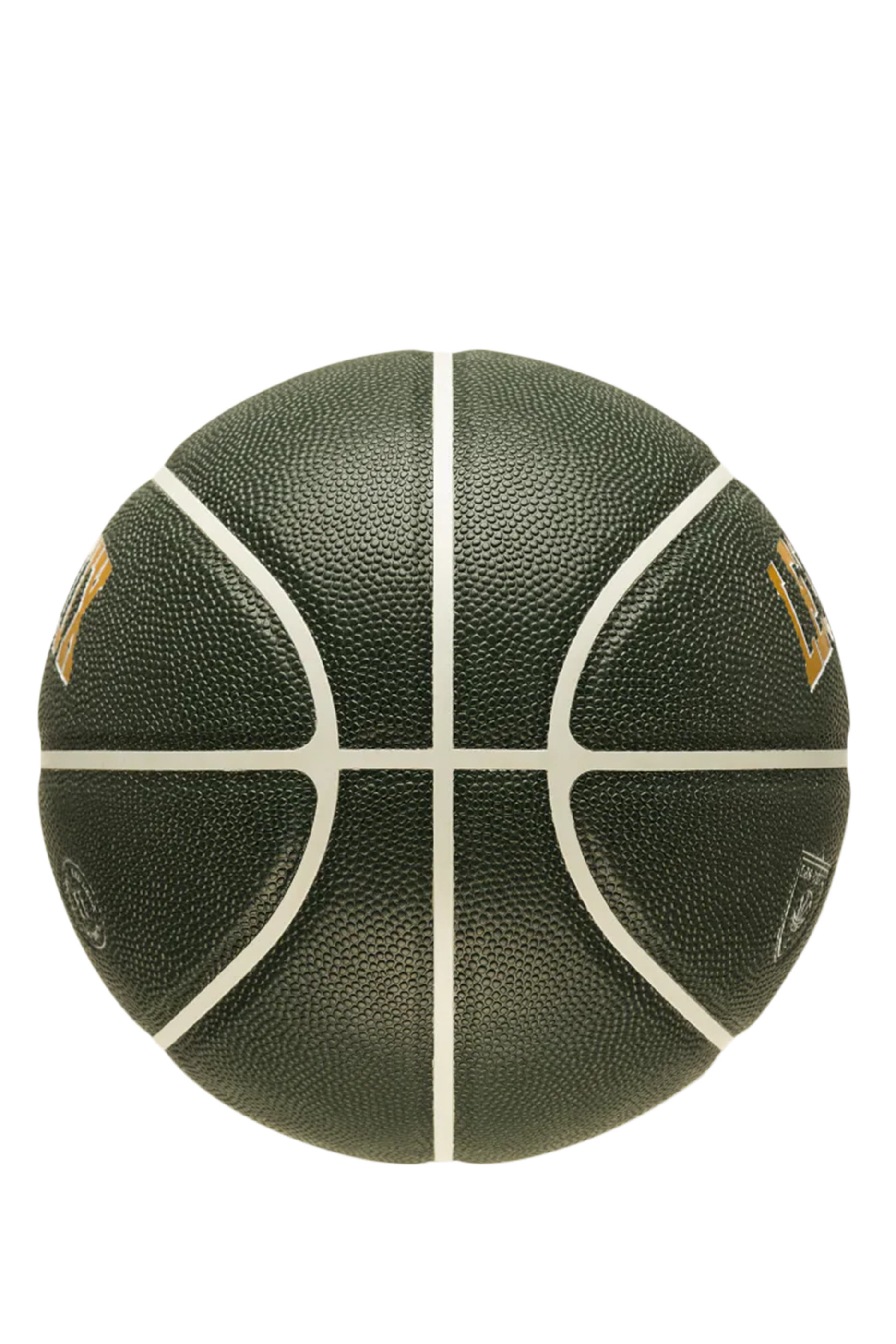 Home Court Basketball 