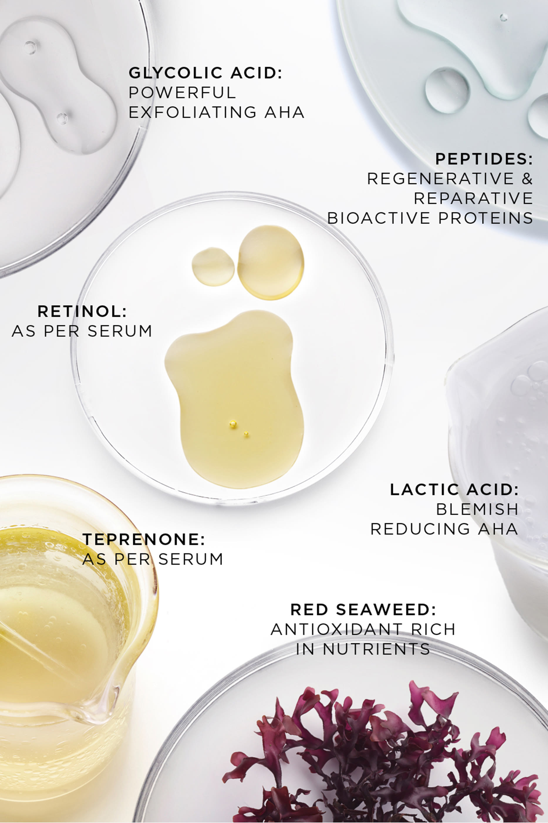 The Absolute Rejuvenation Night Balm Refill