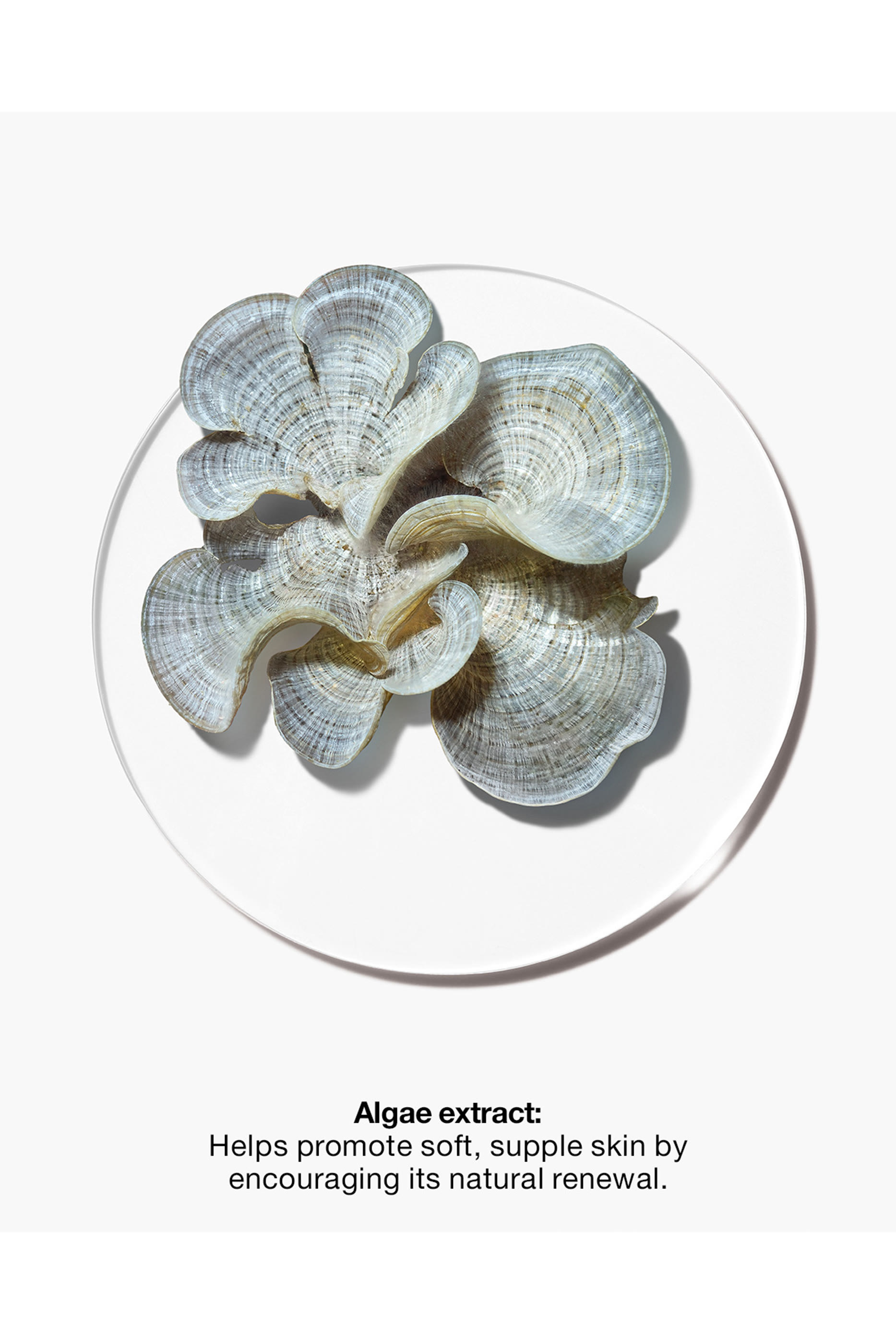 Clarifying Do-Over Peel