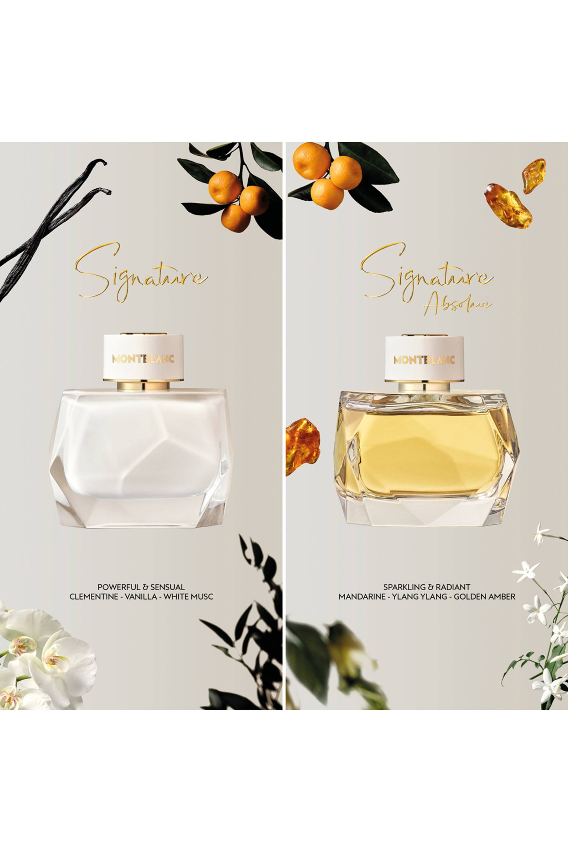 Signature Absolue Eau De Parfum