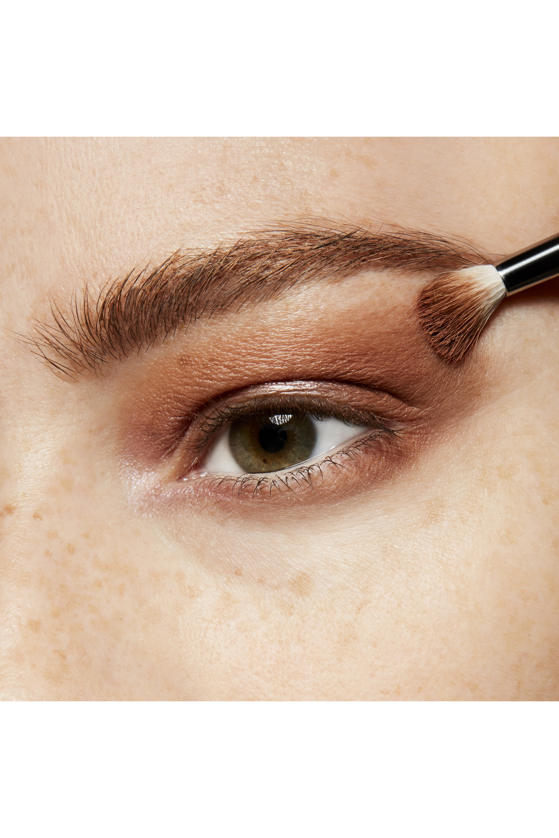 Espresso Small Eyeshadow