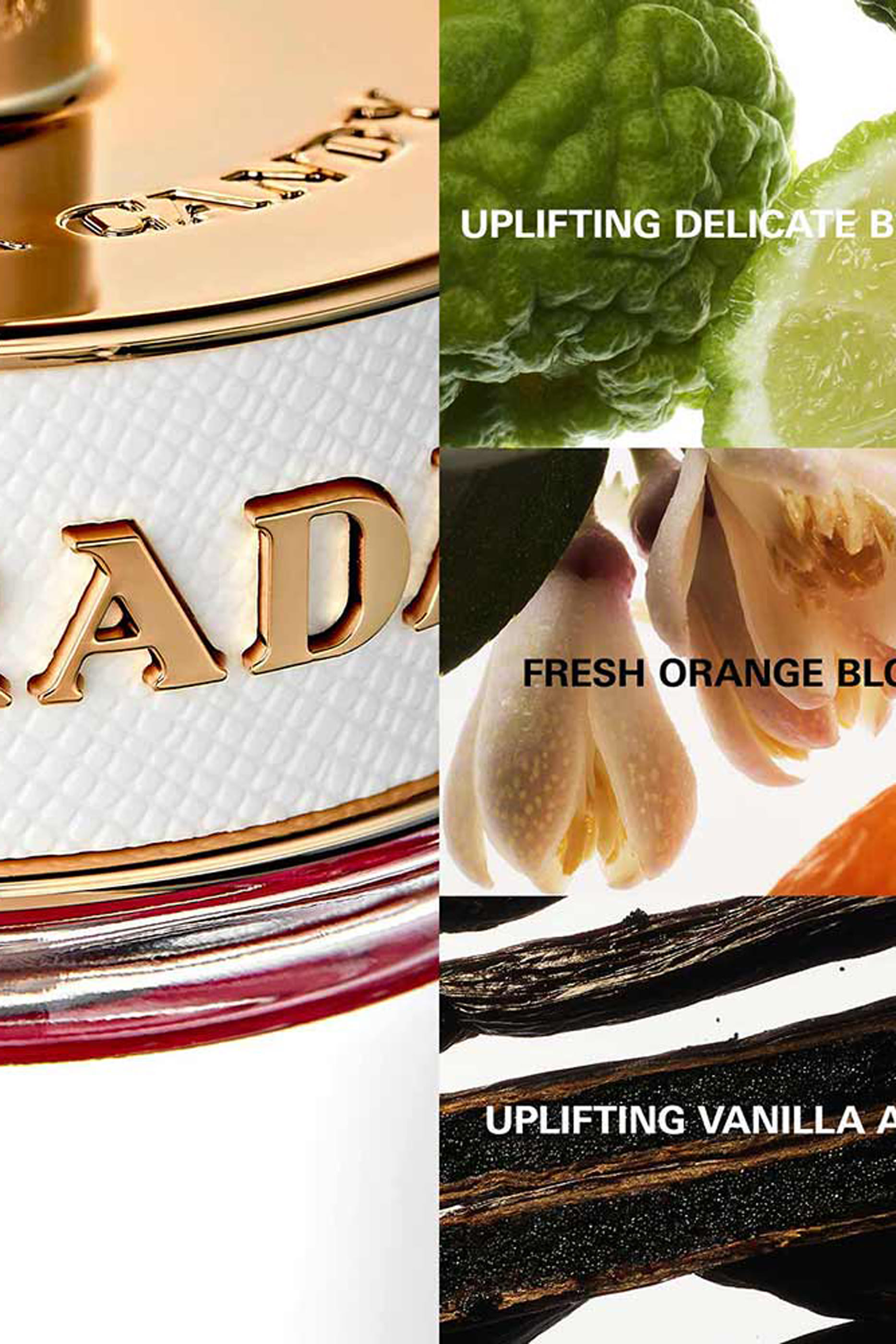 Prada Candy Kiss Eau de Parfum