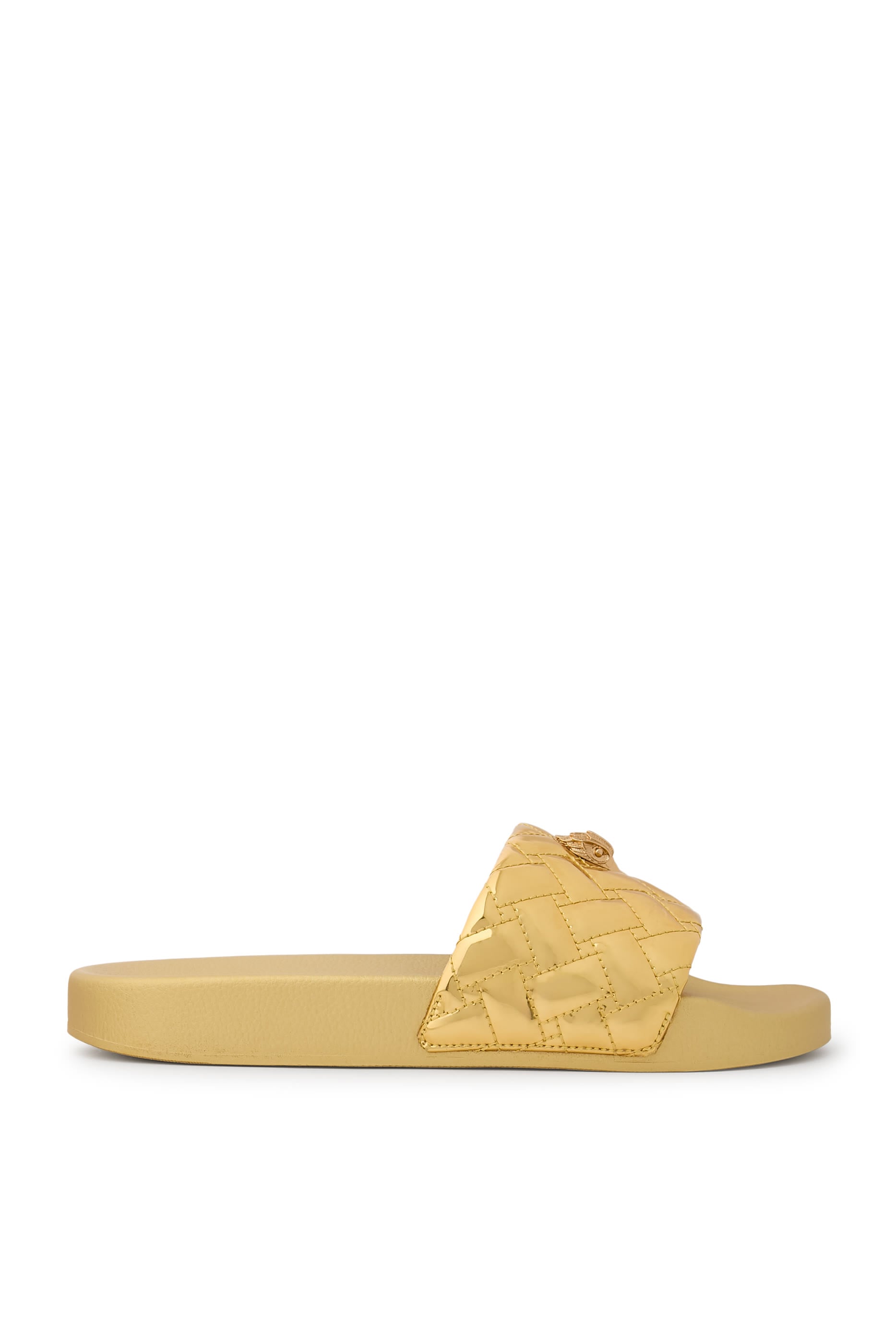  Meena Eagle Slides 