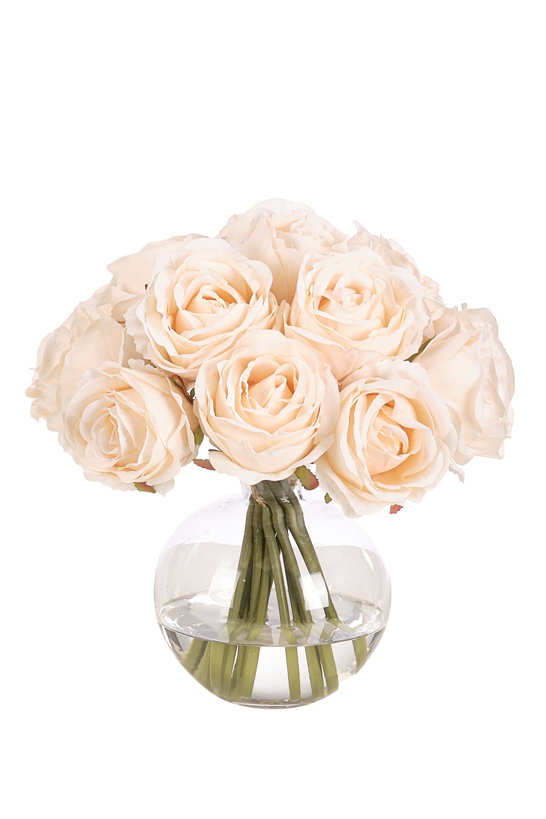 Rose in Glass Bubble Vase