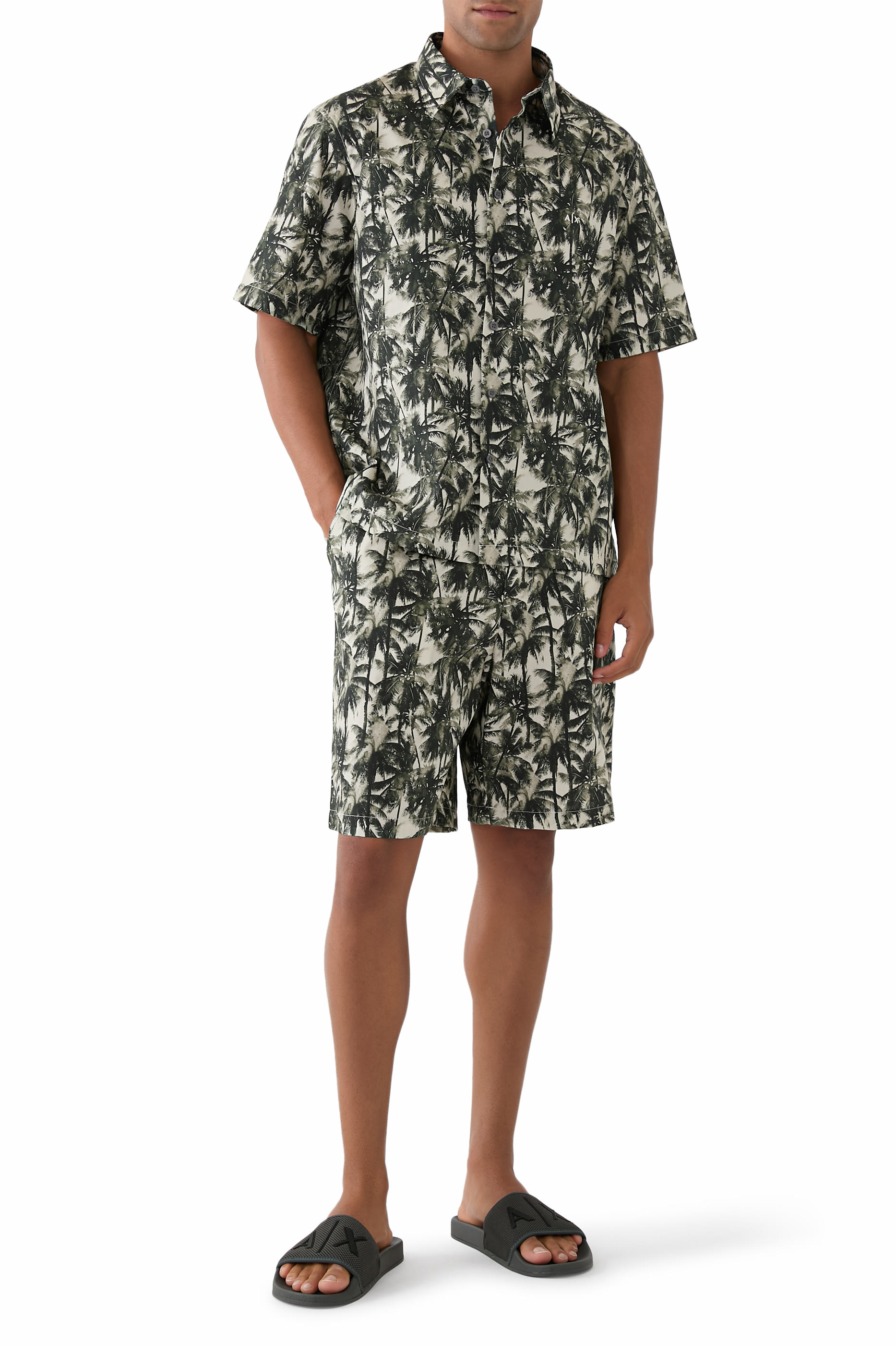 Palm Print Cotton Bermuda Shorts