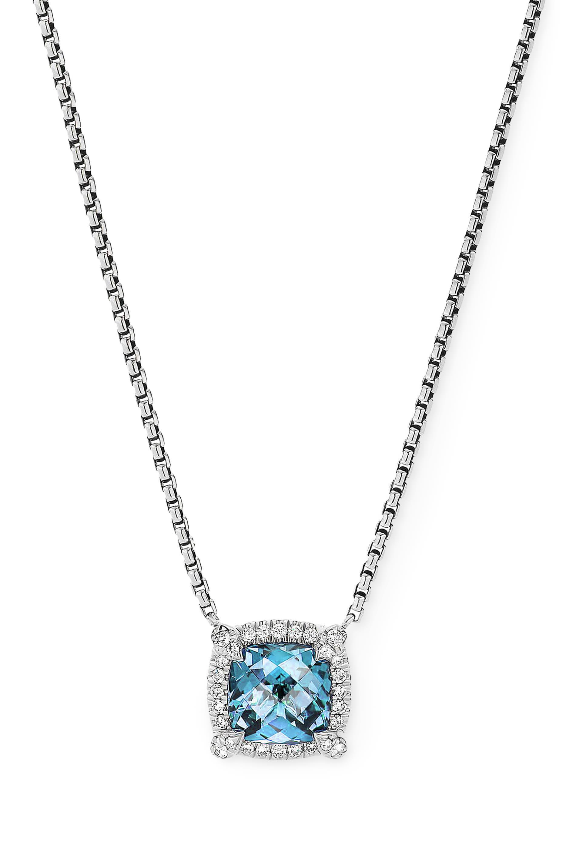Petite Chatelaine&reg; Bezel Necklace