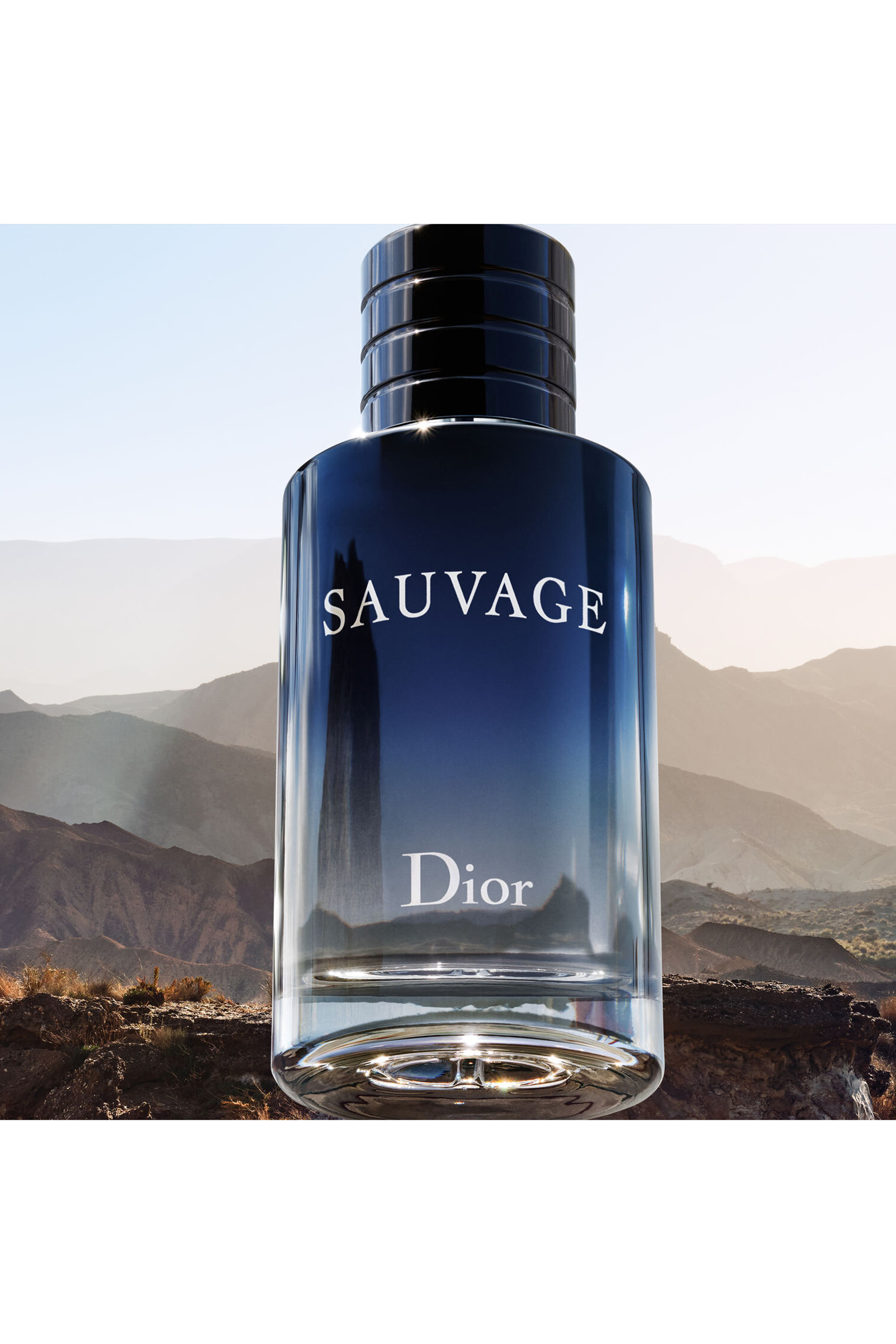 Sauvage Eau de Toilette
