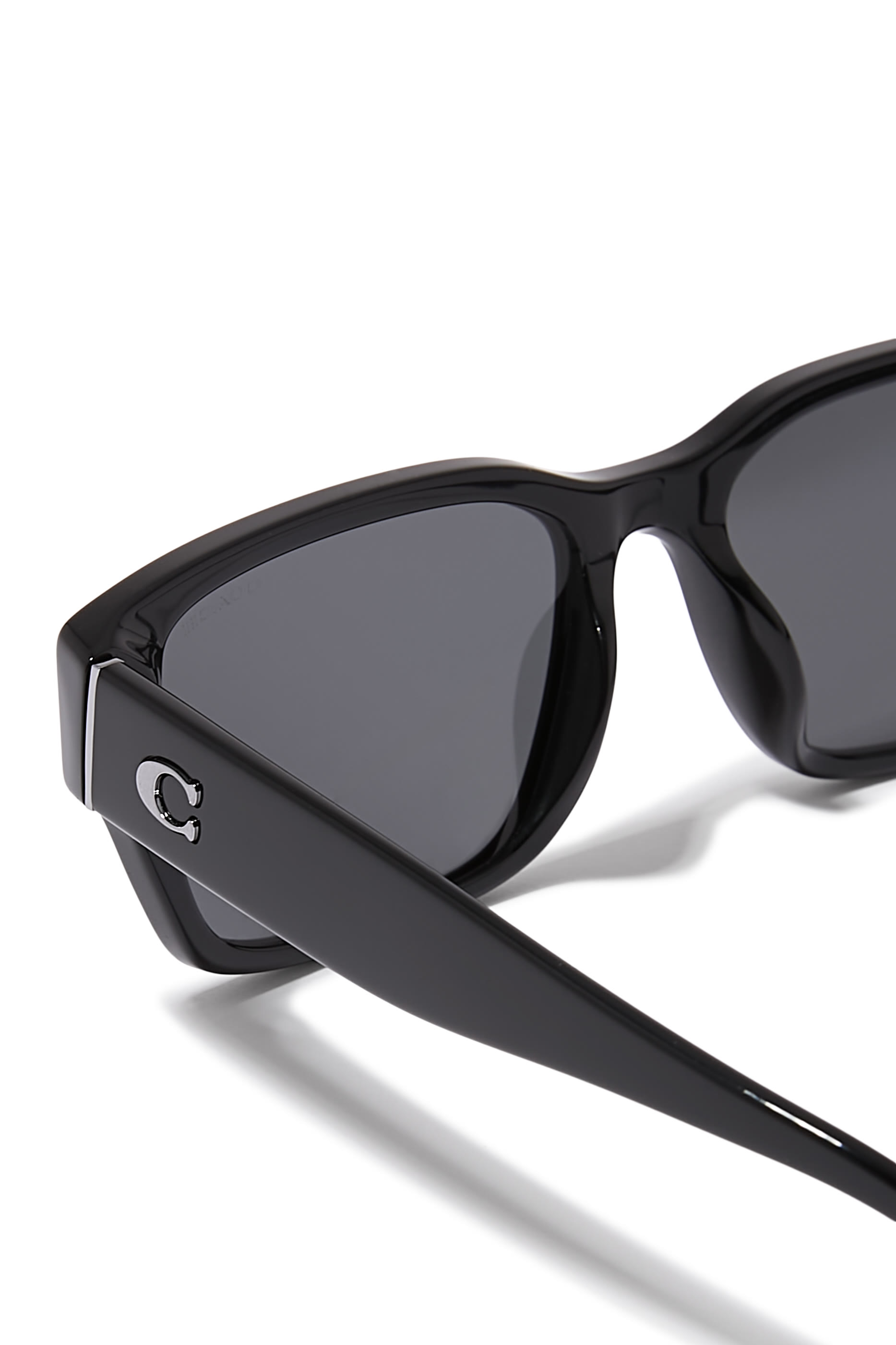 D-Frame Maxi C Temple Sunglasses