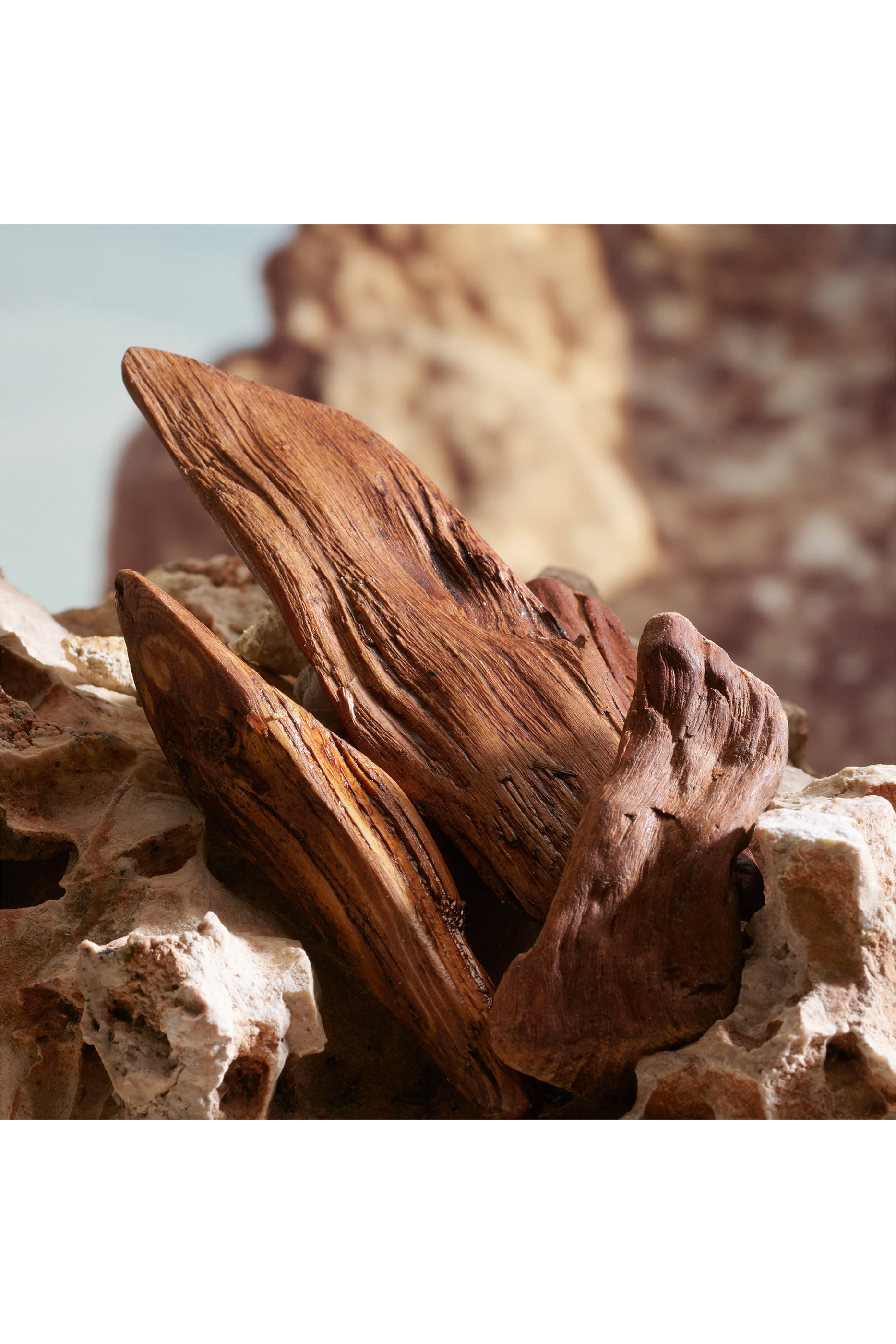 K by Dolce & Gabbana Parfum