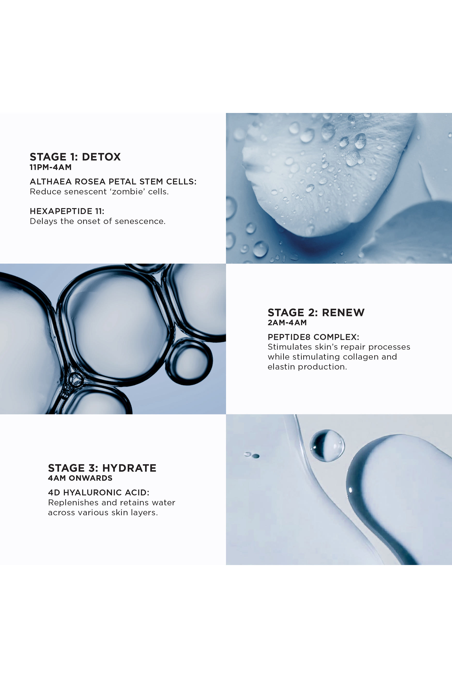 The Absolute Peptide8 Night Serum 