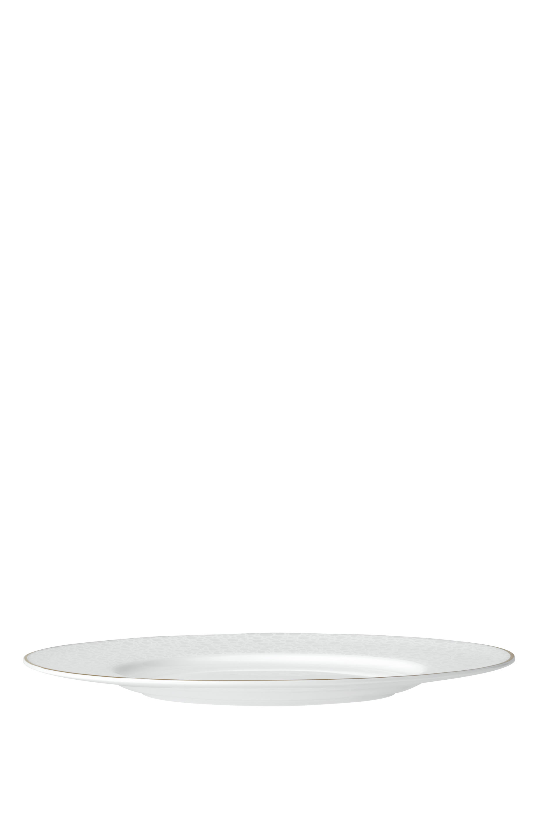 Fizz Bone China Plate