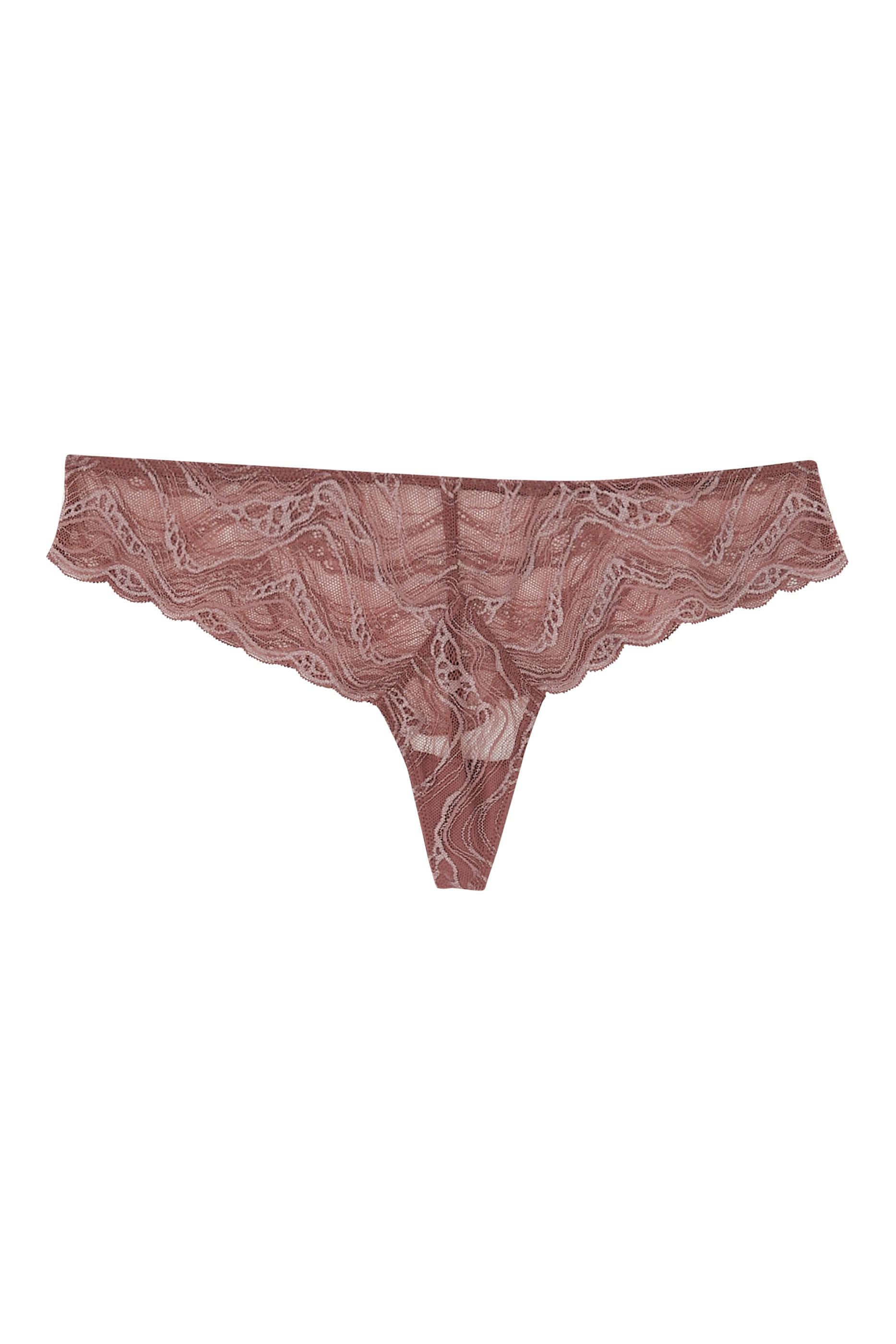 Sheer Lace Brazilian Briefs