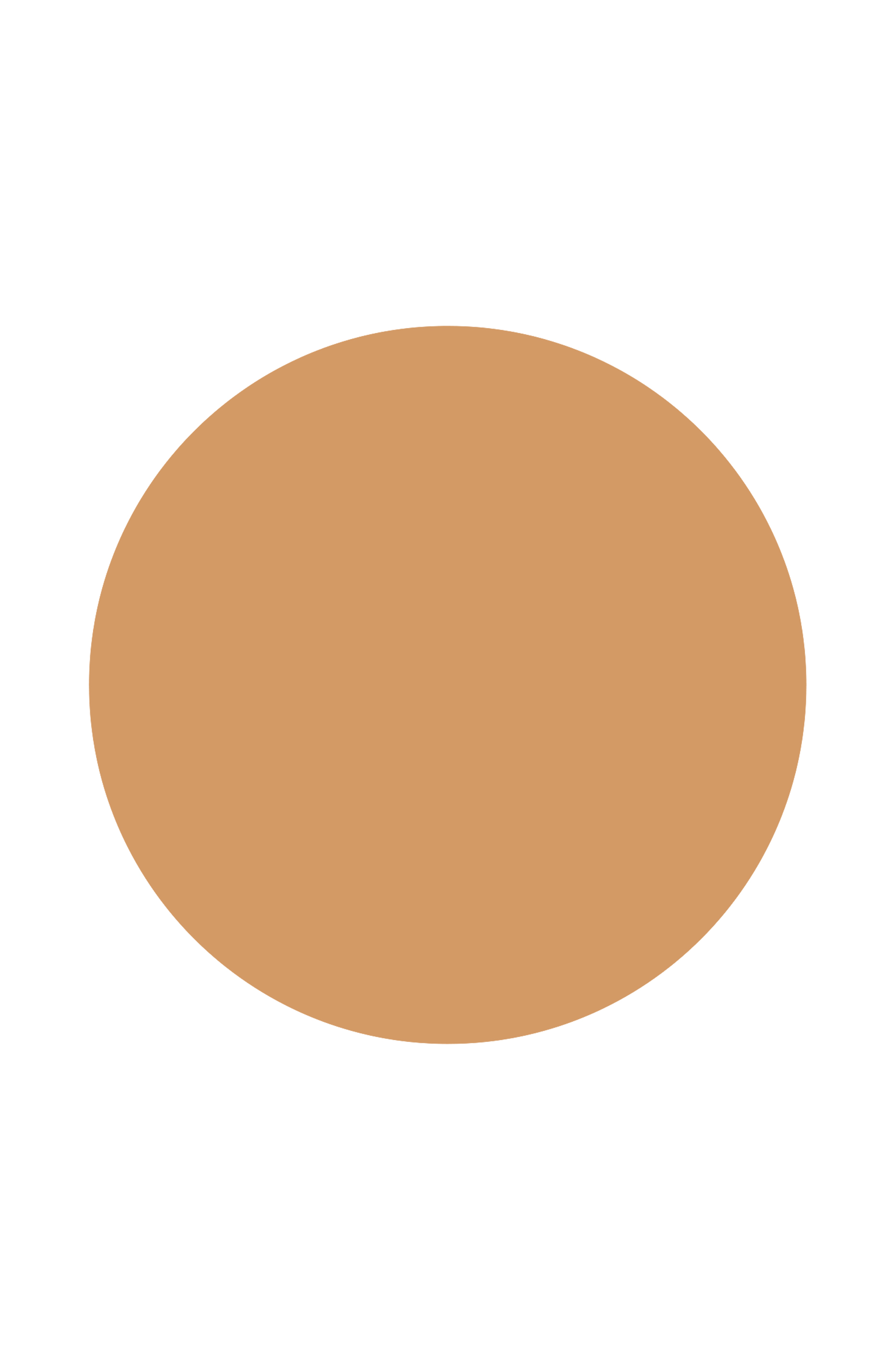 Parure Gold Skin Control Compact Powder