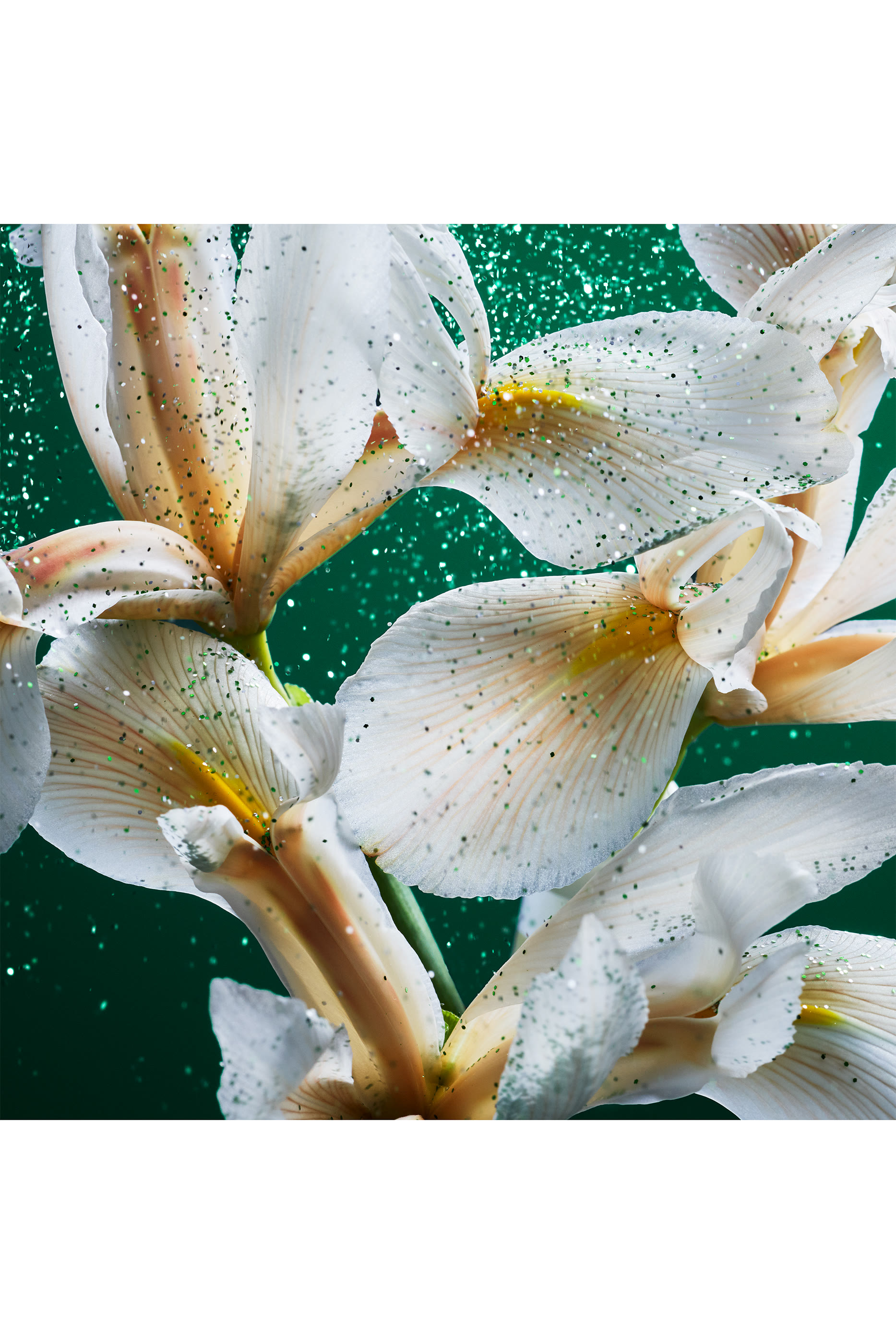 Emerald Musk Eau de Parfum