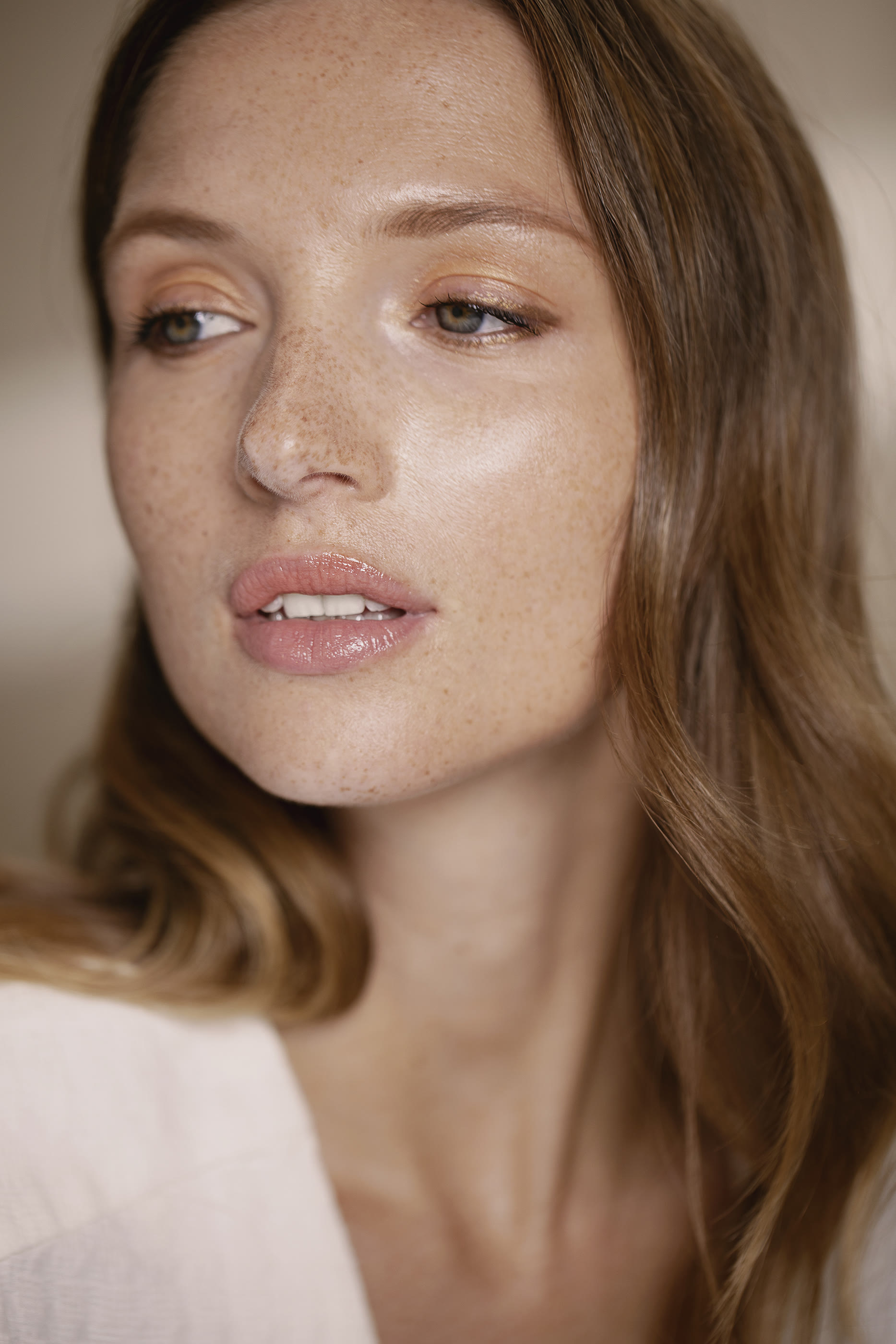 Phyto-Rouge Shine Lipstick