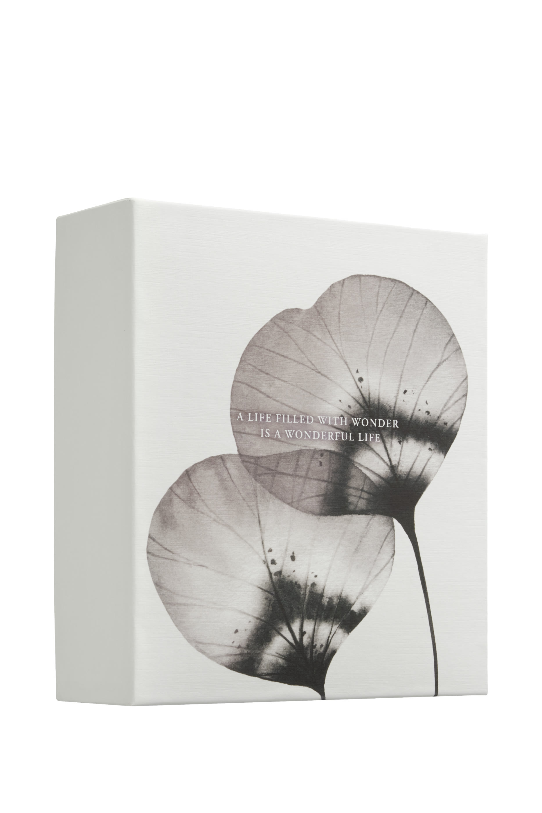 Homme Medium Gift Set