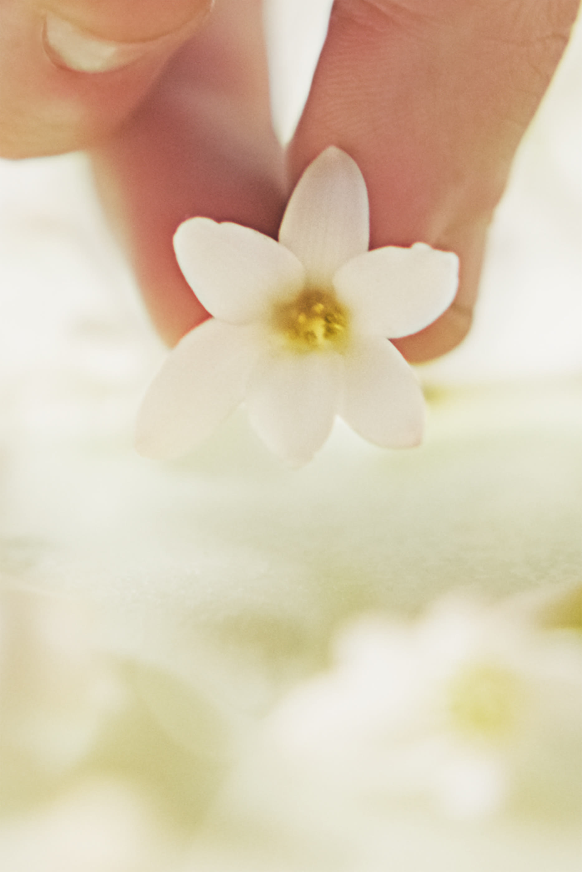 J'adore Infinissime Intense Eau de Parfum