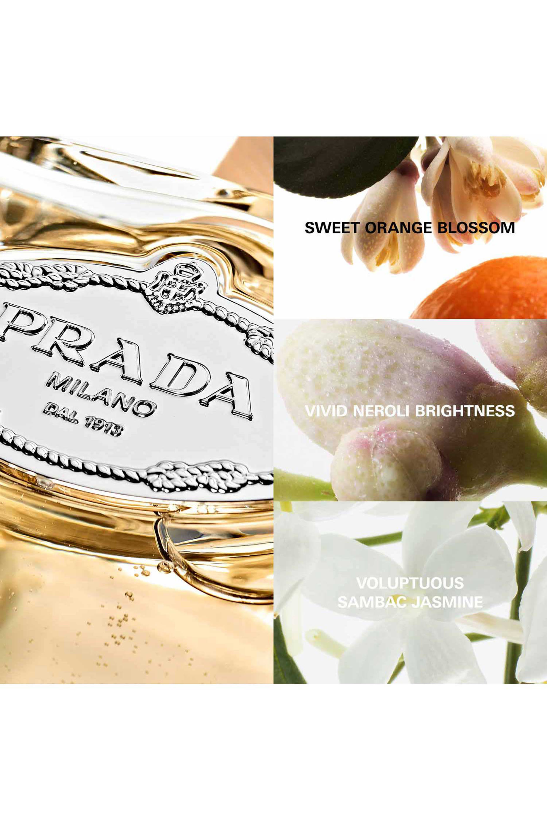 Les Infusions de Prada Fleur D'oranger Eau de Parfum