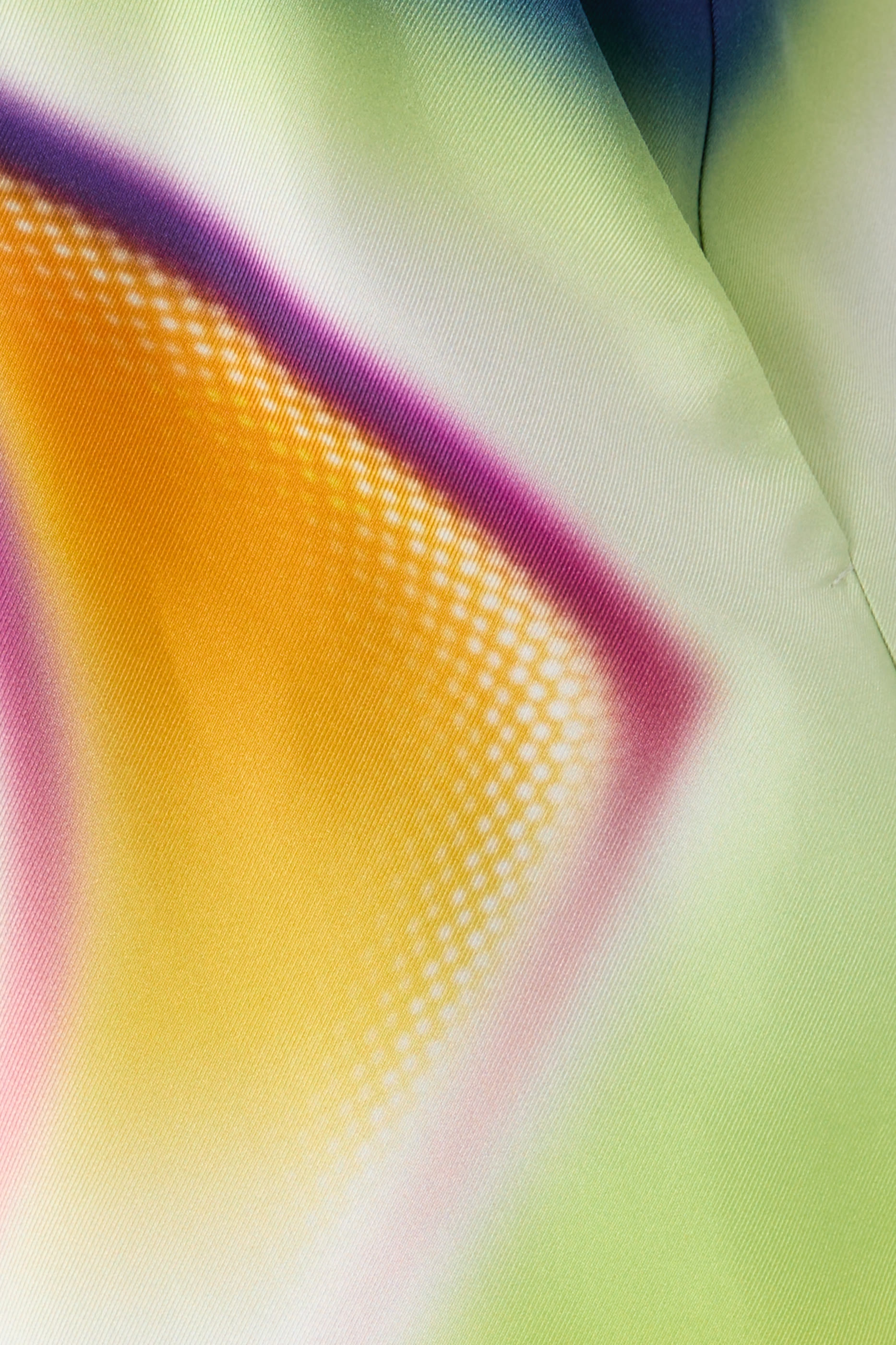 Sporchid Silk Shorts