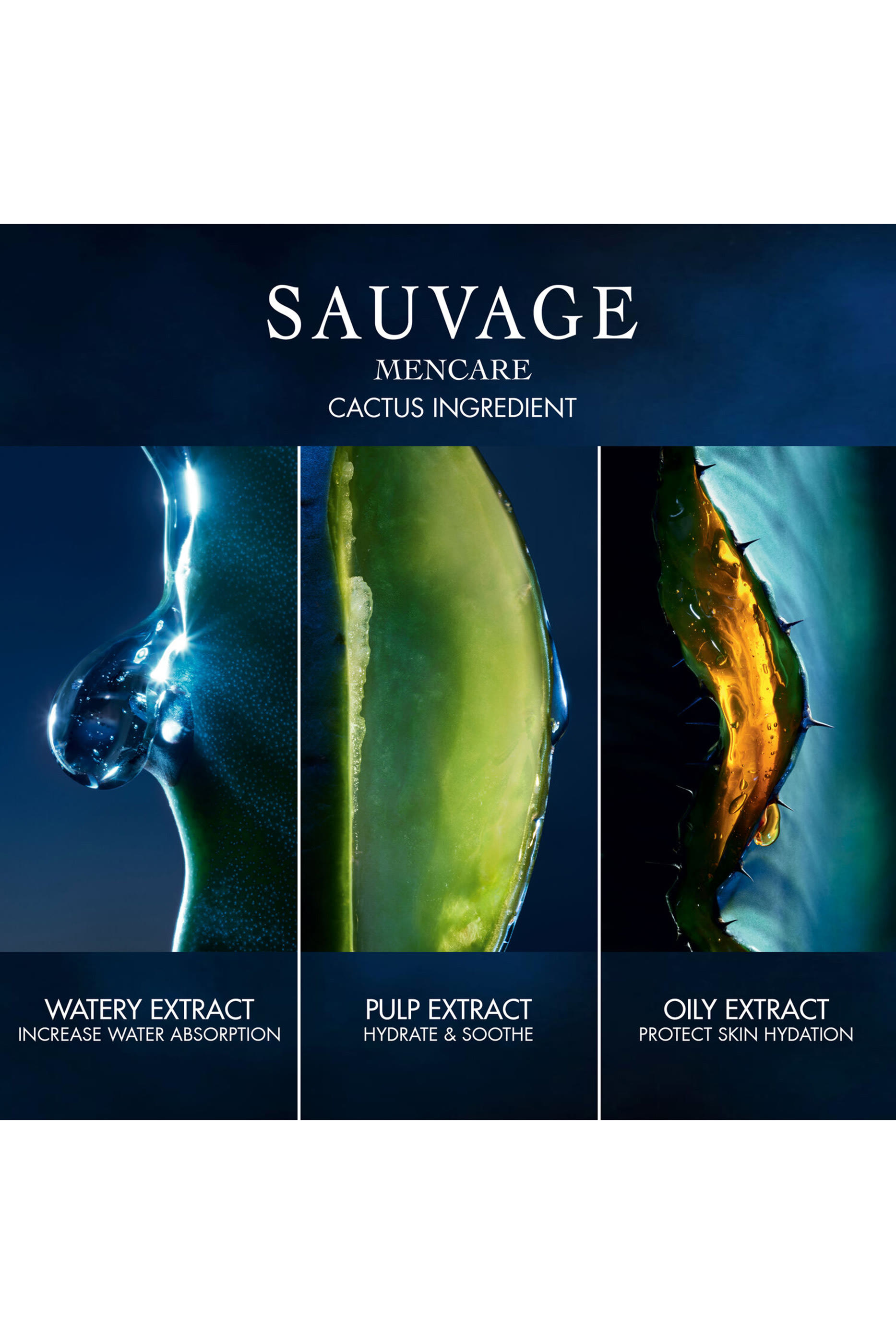 Sauvage Skincare Ritual Set