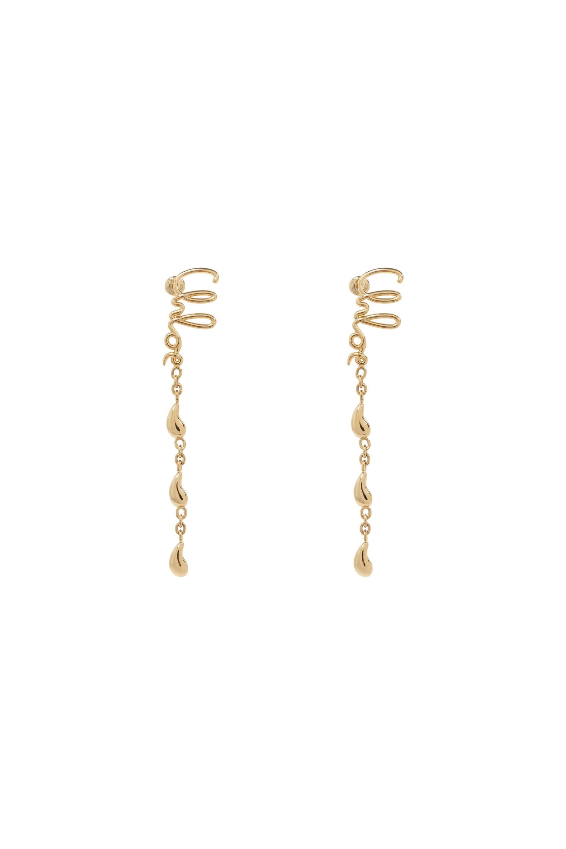 The Iconic Dangling Earrings 