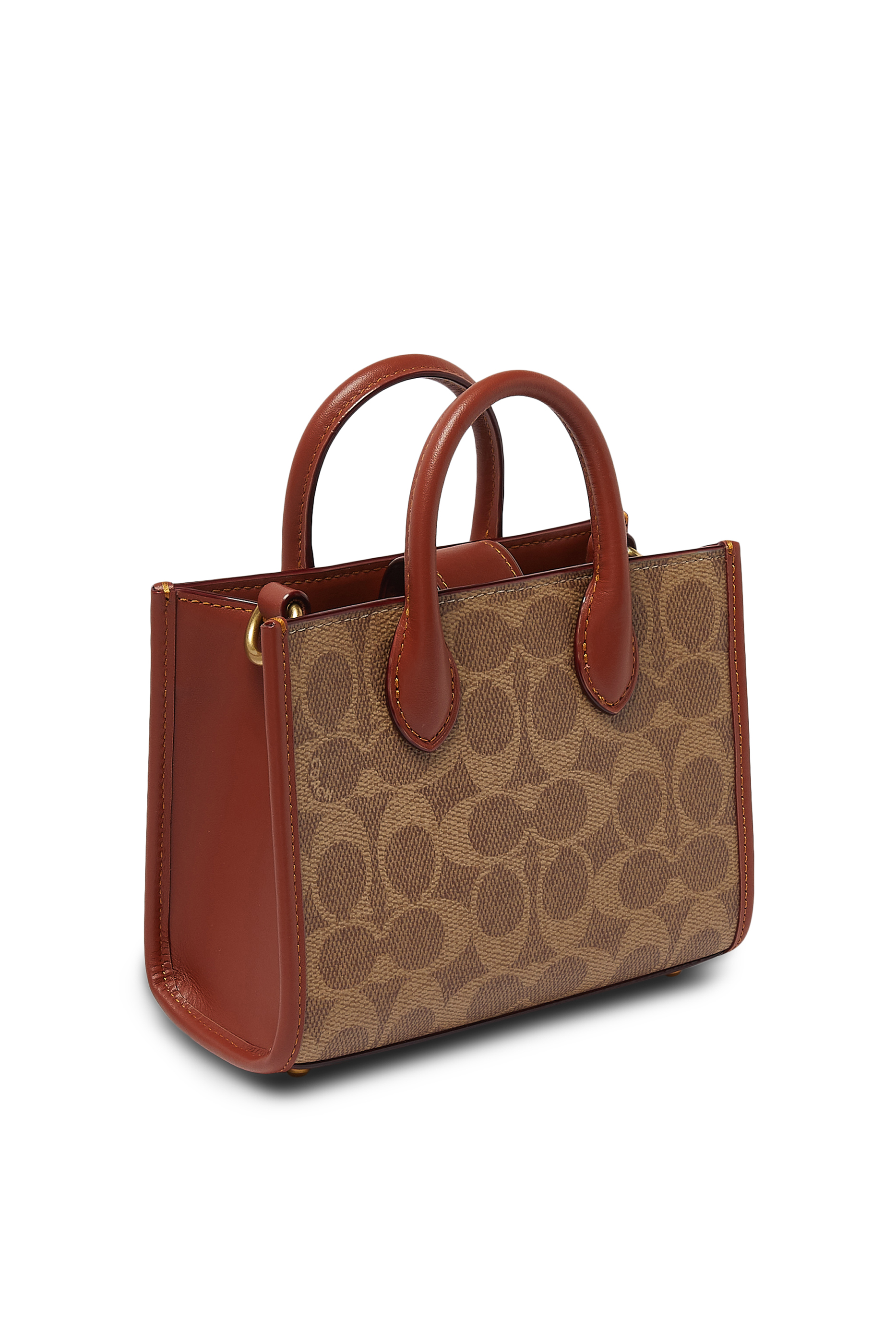 Ace 17 Tote Bag in Signature Canvas