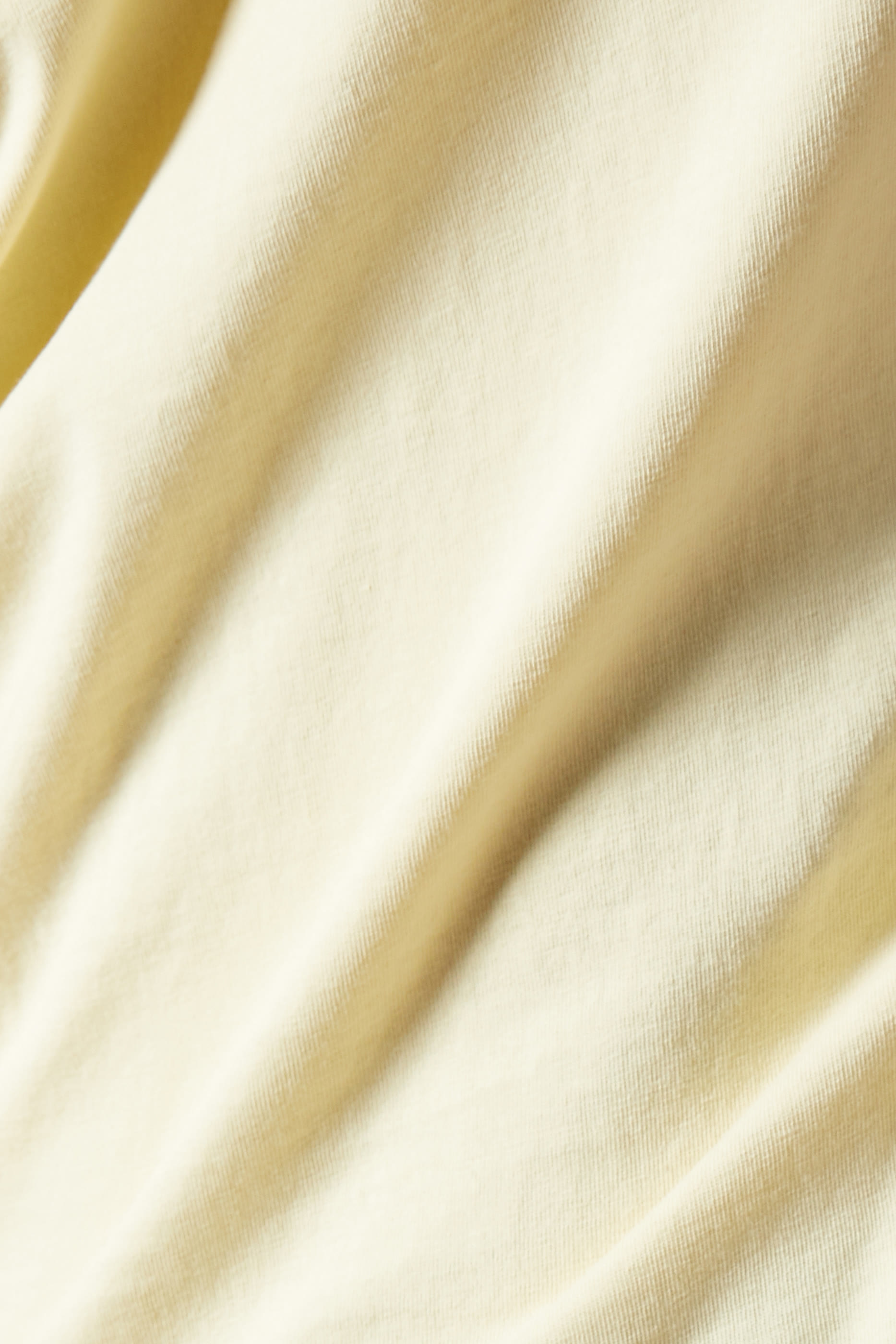 Organic Cotton T-Shirt