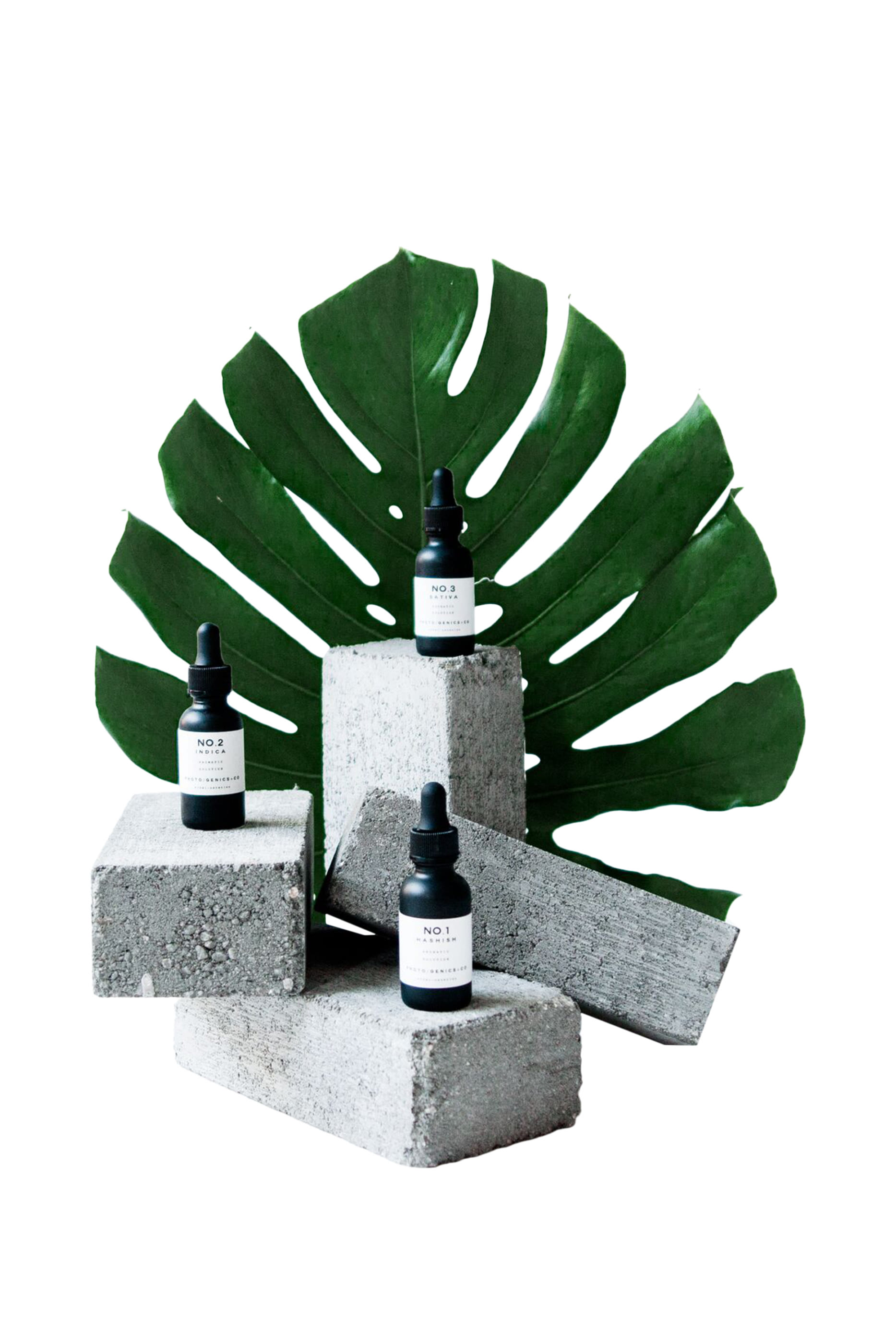 No.3 Sativa Concrete Bowl Diffuser