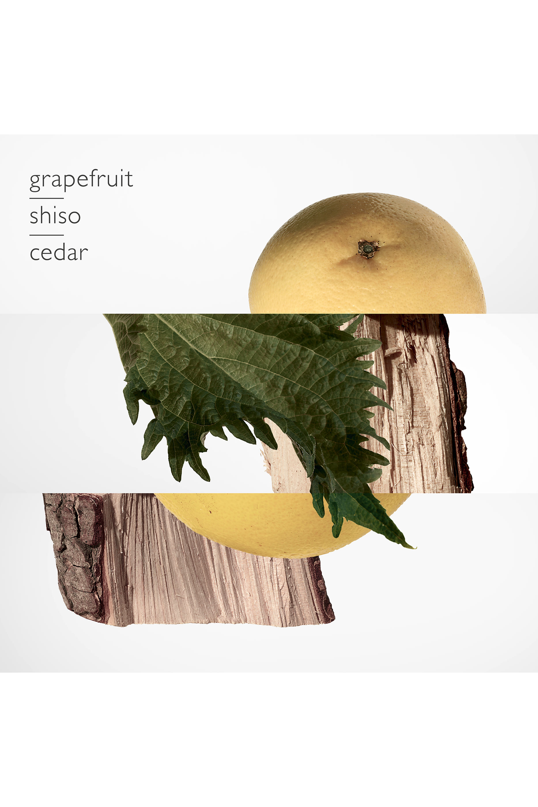 Terre d'Hermès, Eau De Parfum