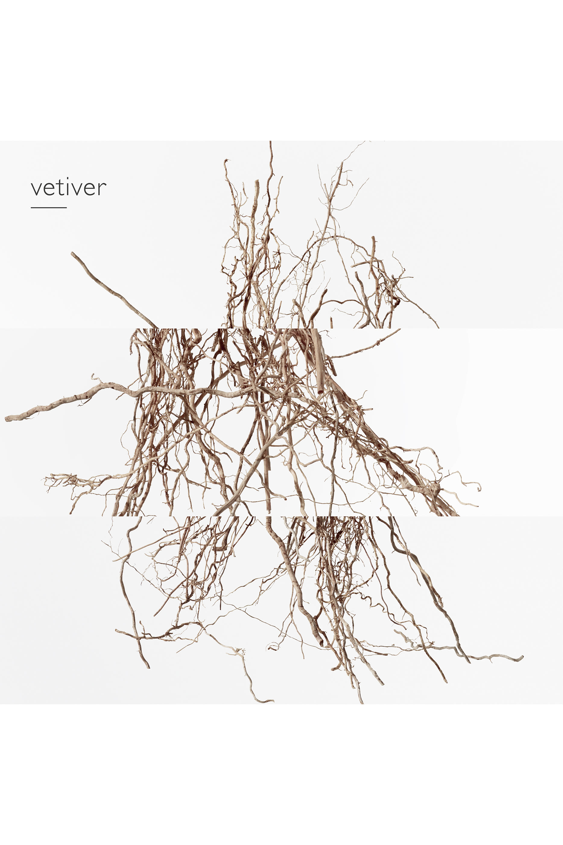 Terre d'Hermès Eau Intense Vétiver, Eau de parfum