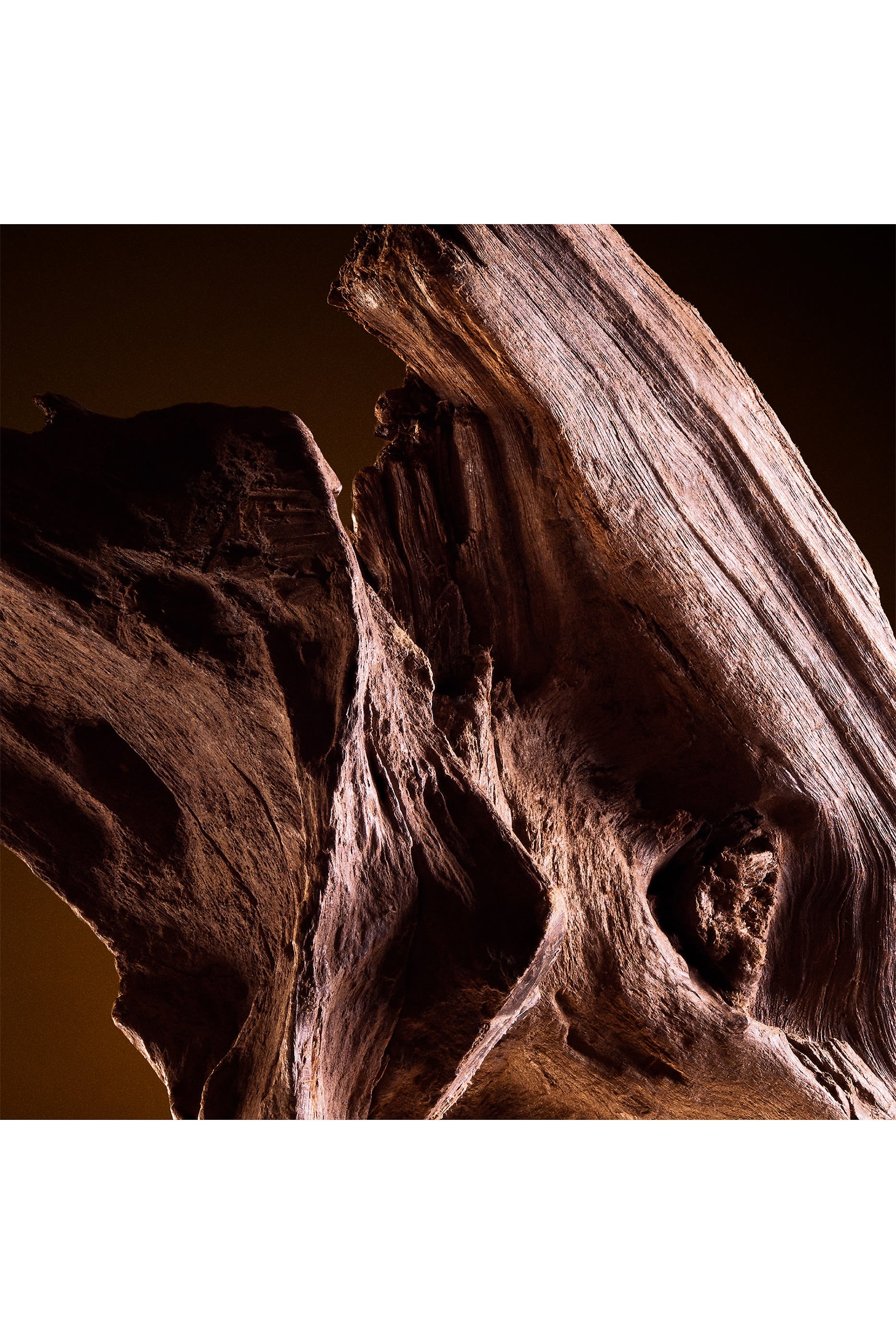 The One Pour Homme Eau de Toilette